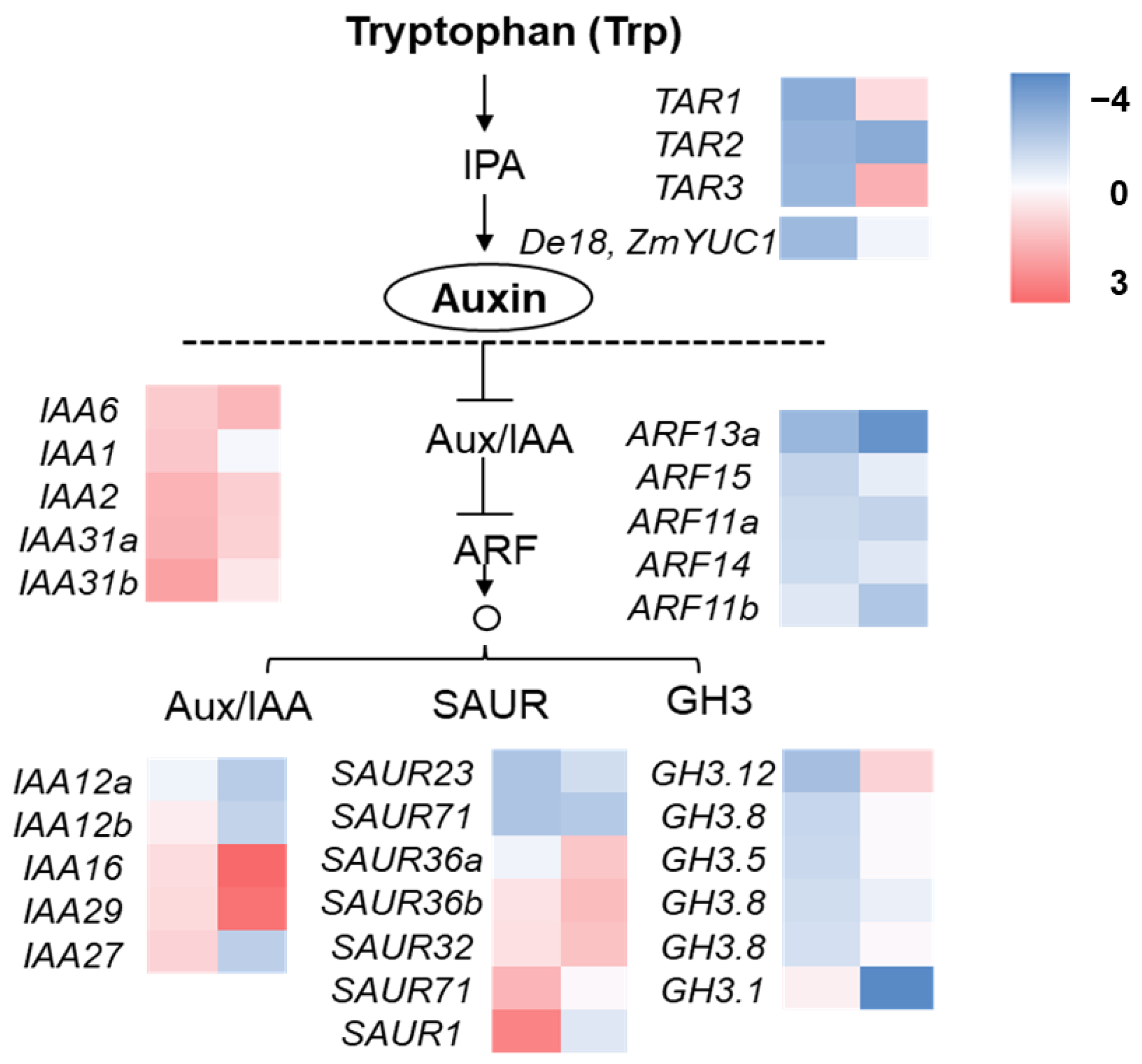 Plants 12 00354 g006