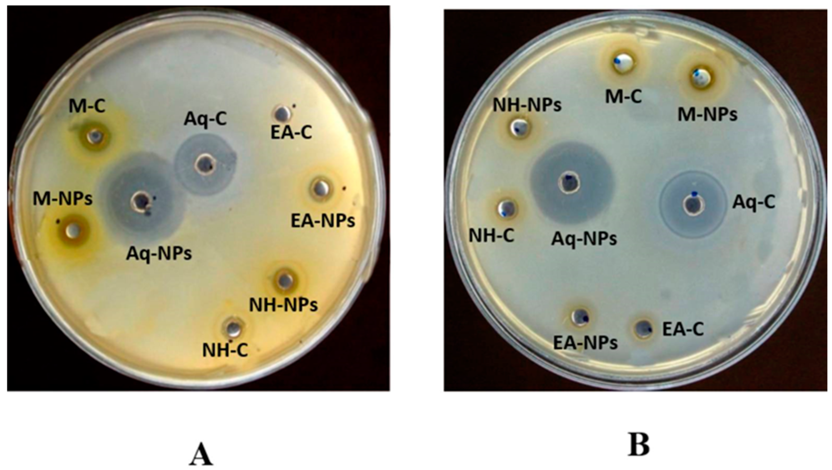 Plants 12 00362 g011 Plants 12 00362 g011
