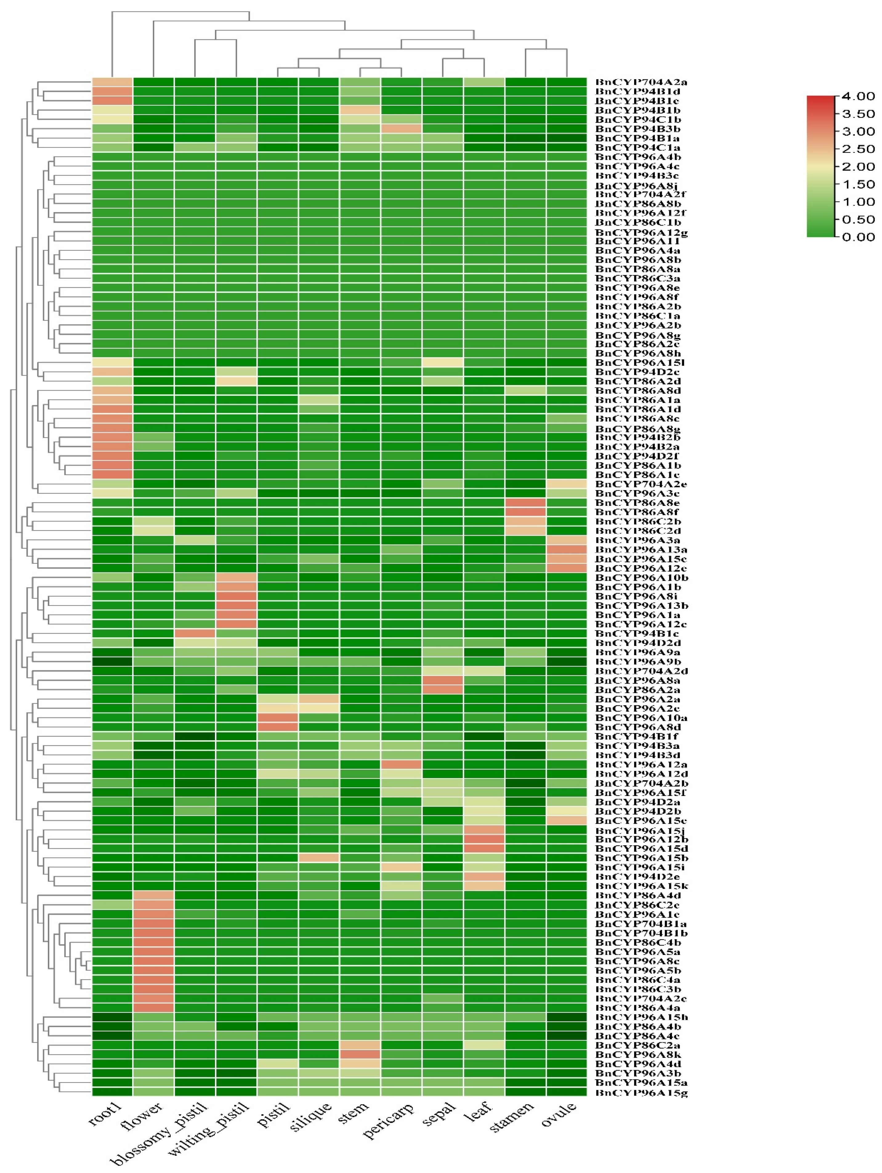 Plants 12 00365 g003 Plants 12 00365 g003