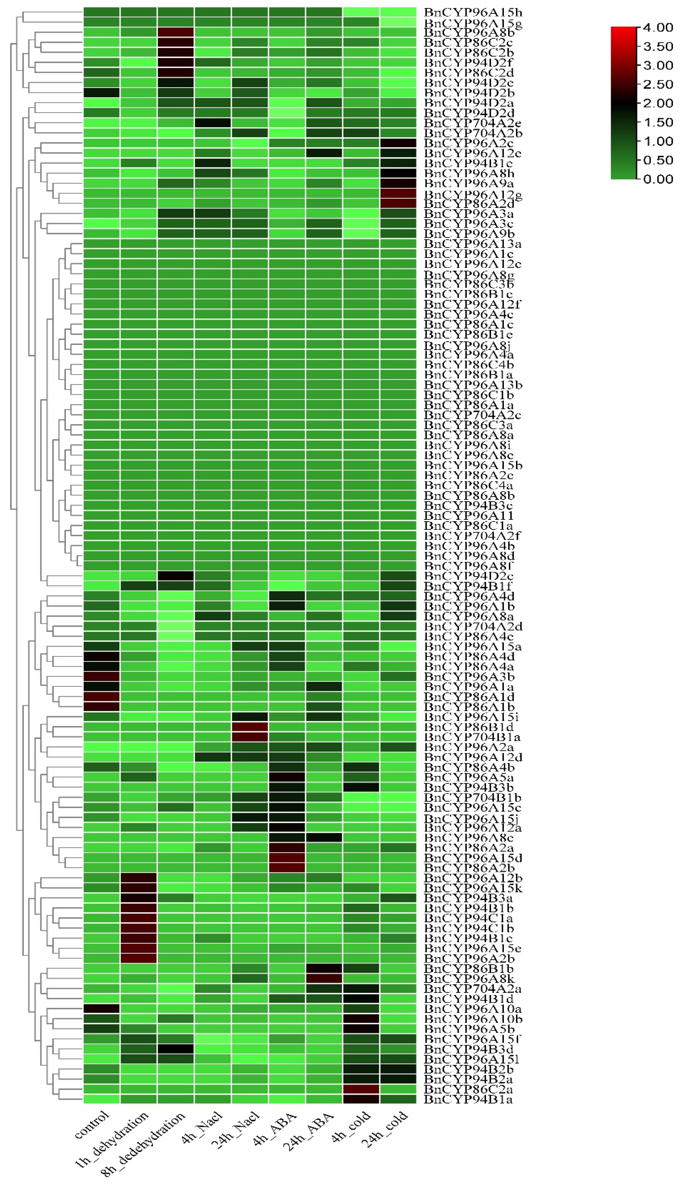 Plants 12 00365 g004 Plants 12 00365 g004