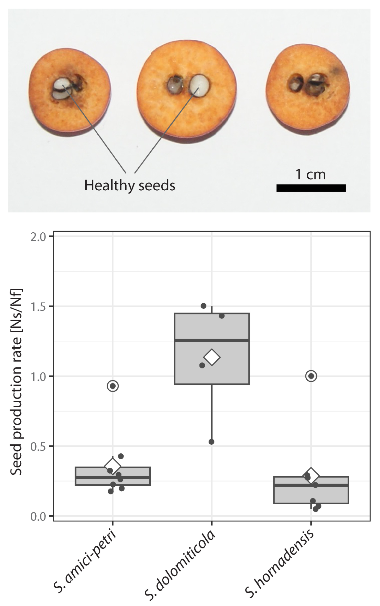 Plants 12 00373 g003 Plants 12 00373 g003