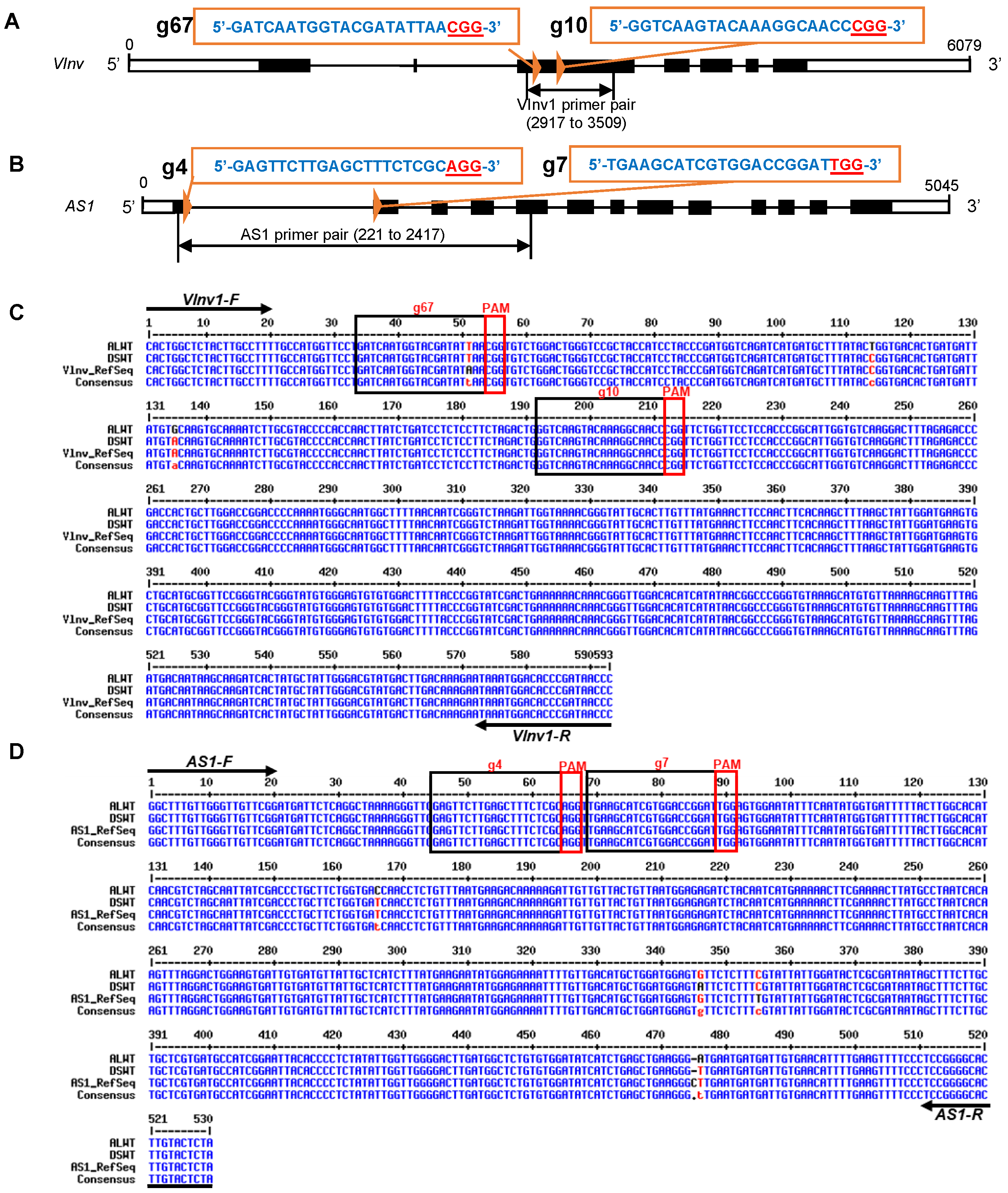 Plants | Free Full-Text | Multiplex CRISPR-Cas9 Gene-Editing Can