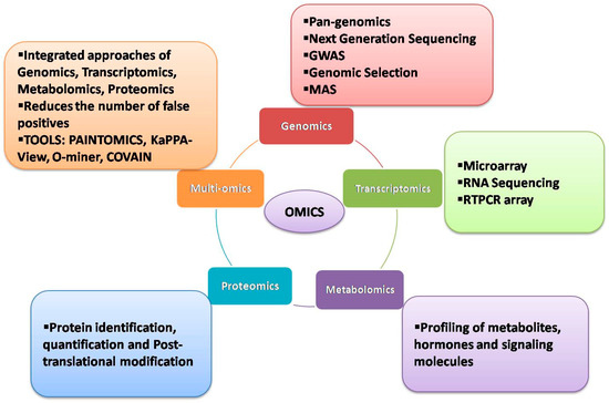 Plants | Free Full-Text | Wheat Omics: Advancements and Opportunities