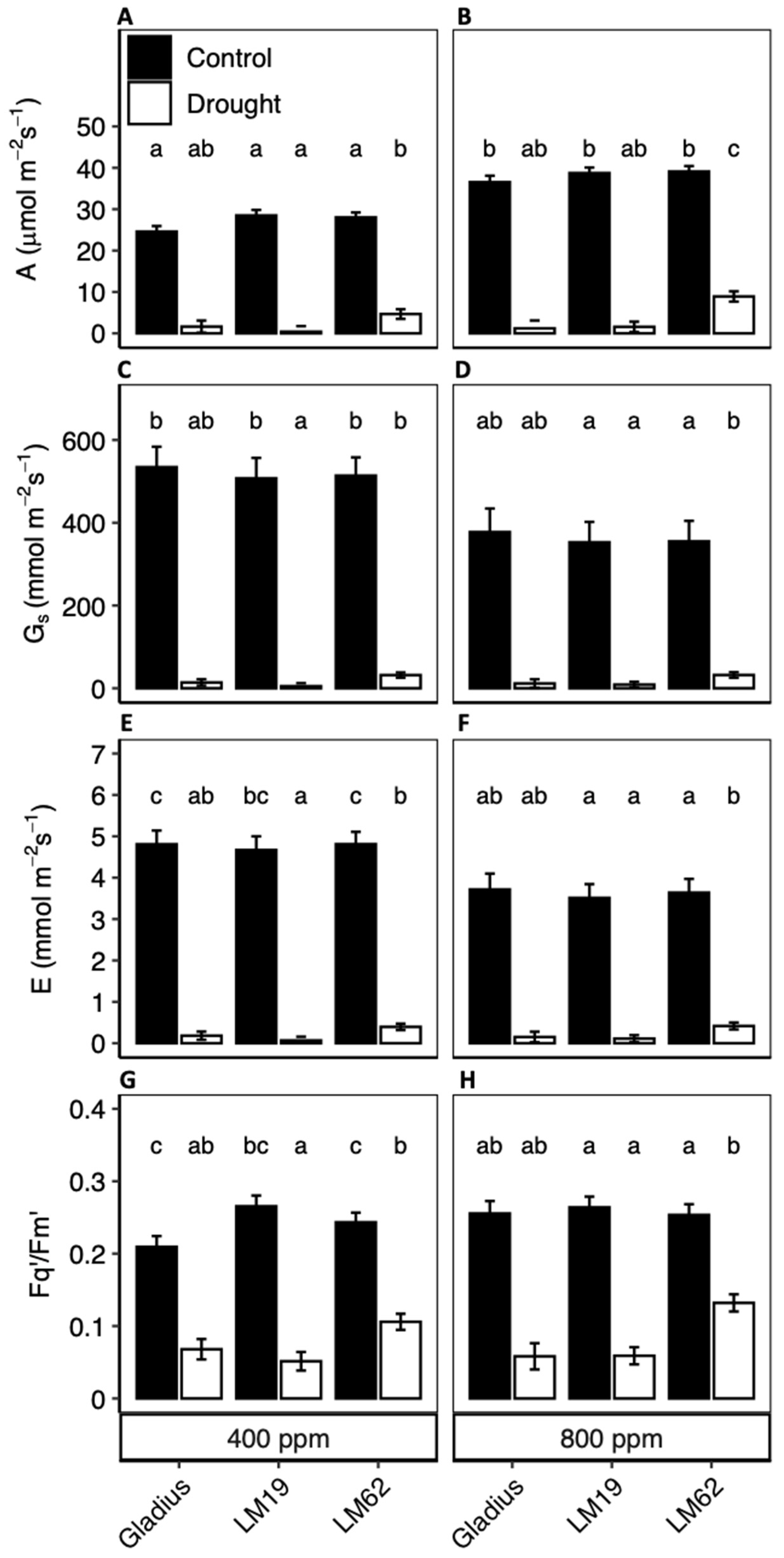 Plants 12 00436 g003