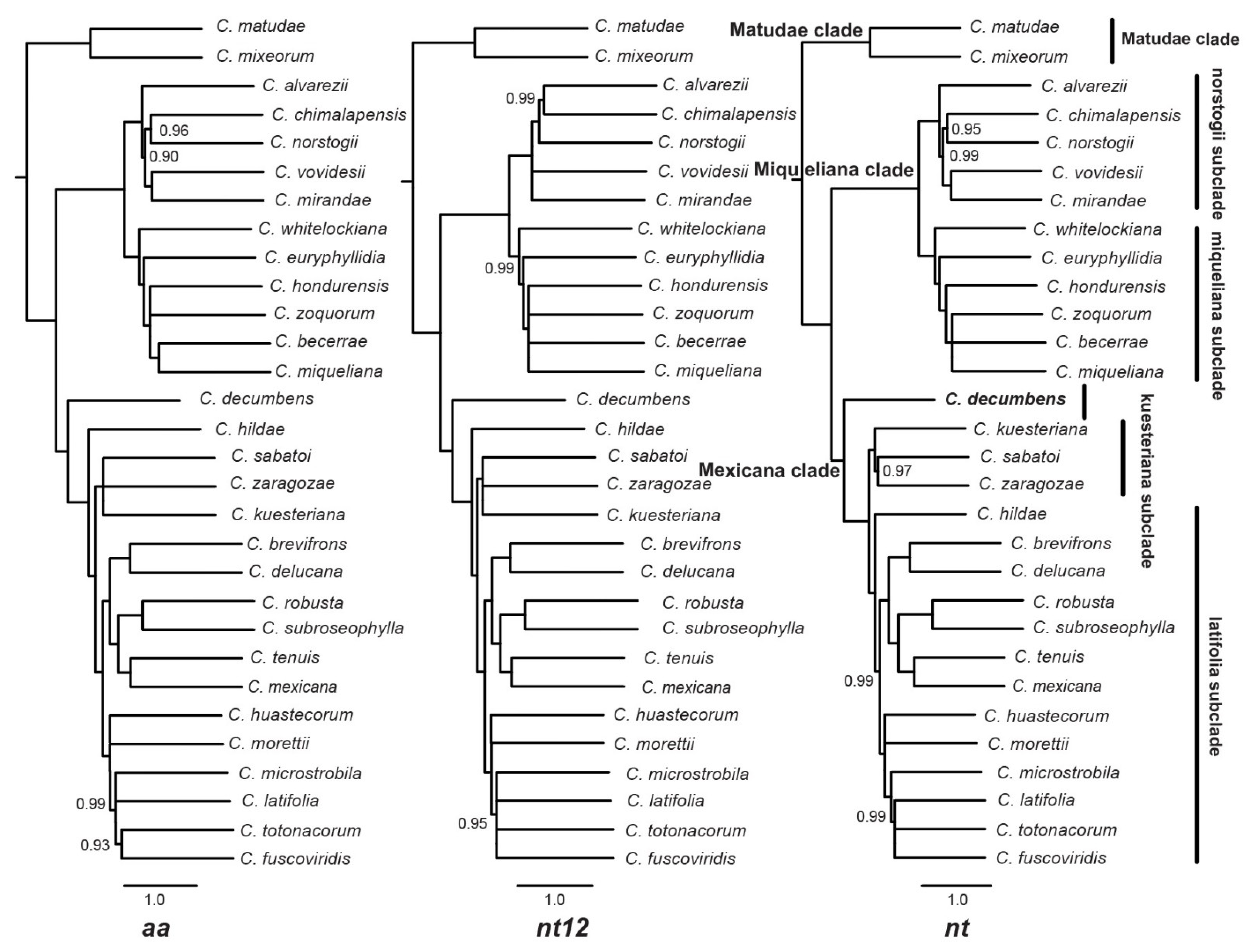 Plants 12 00478 g003