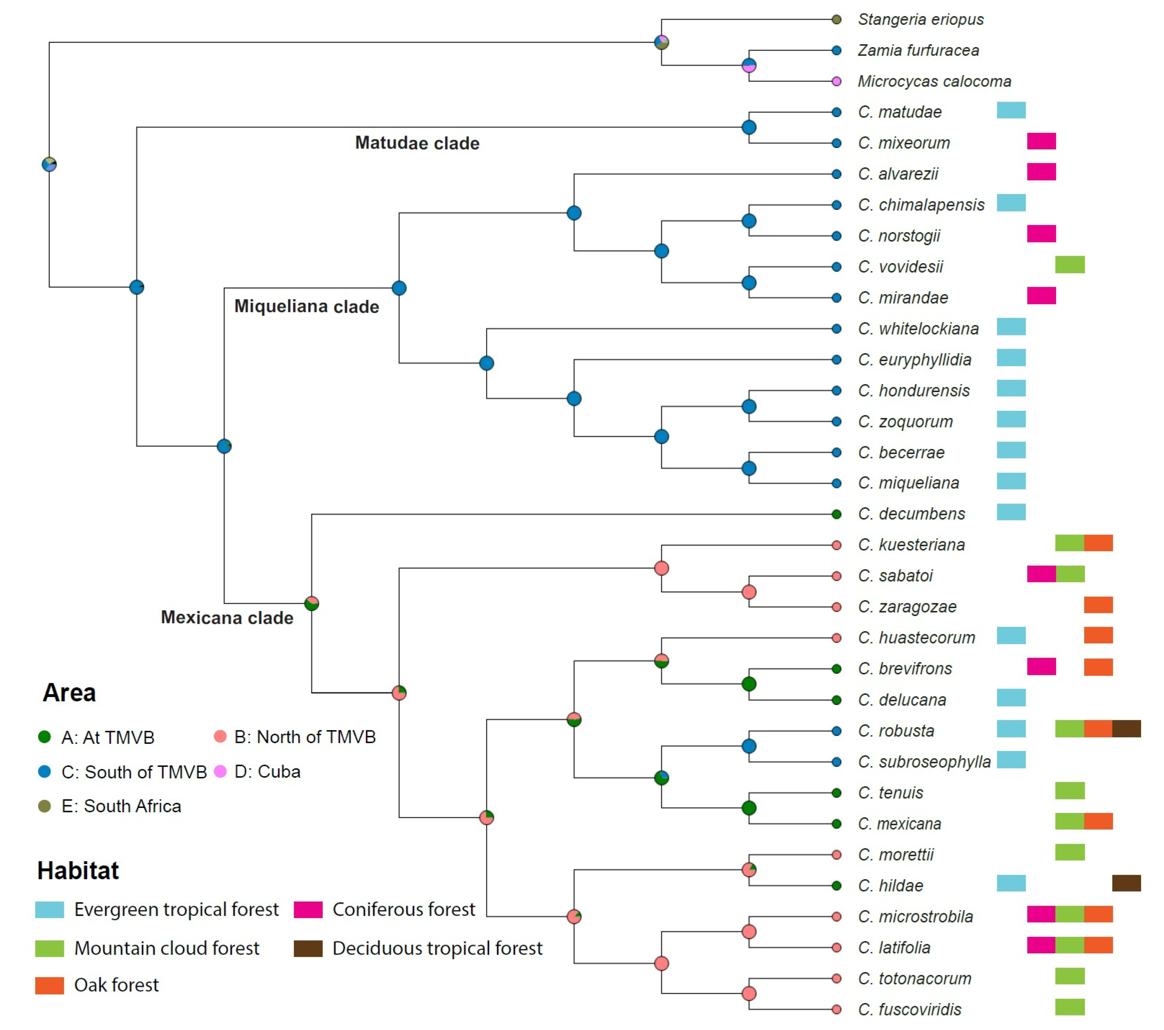 Plants 12 00478 g005