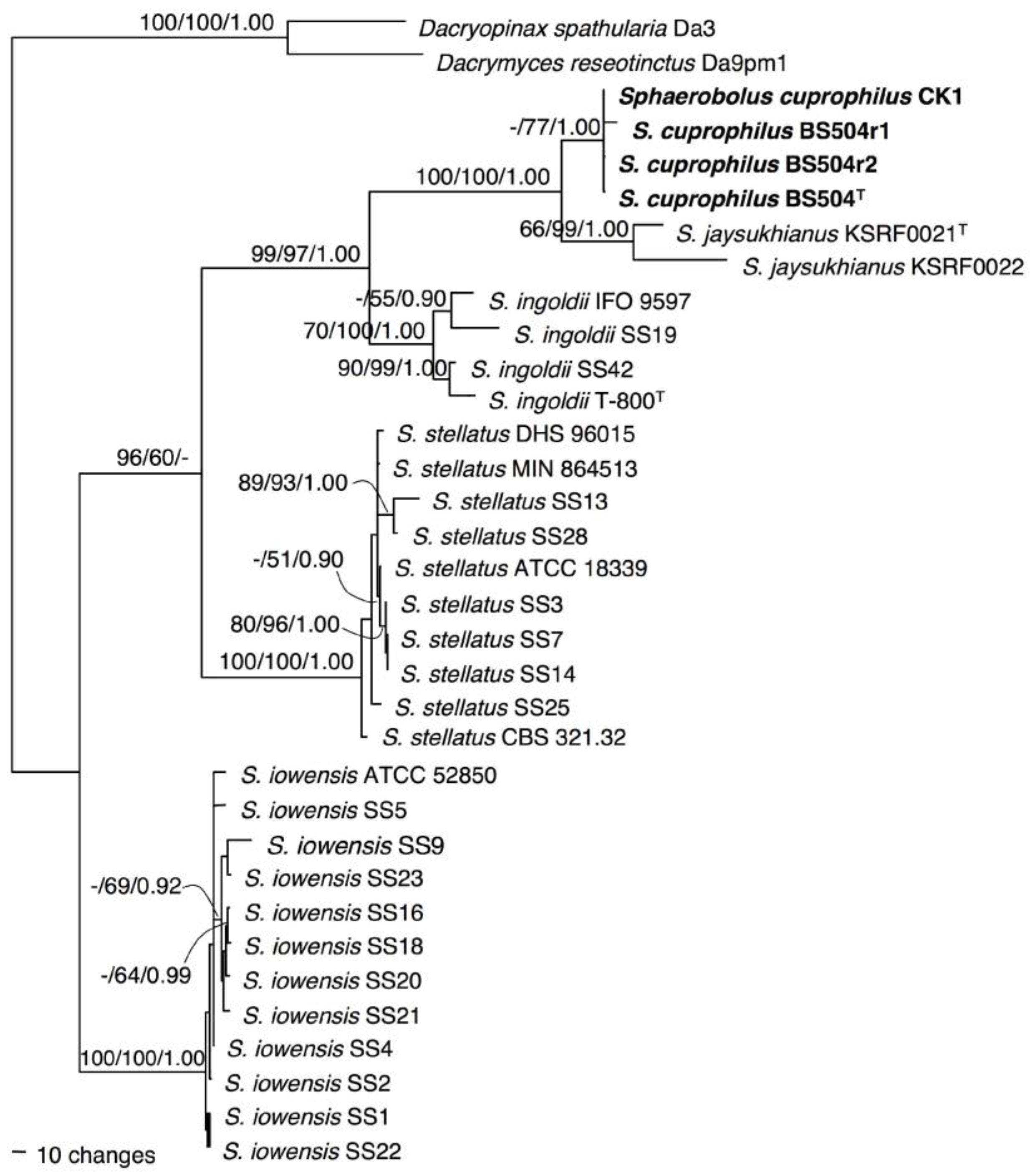 Plants 12 00480 g004 Plants 12 00480 g004