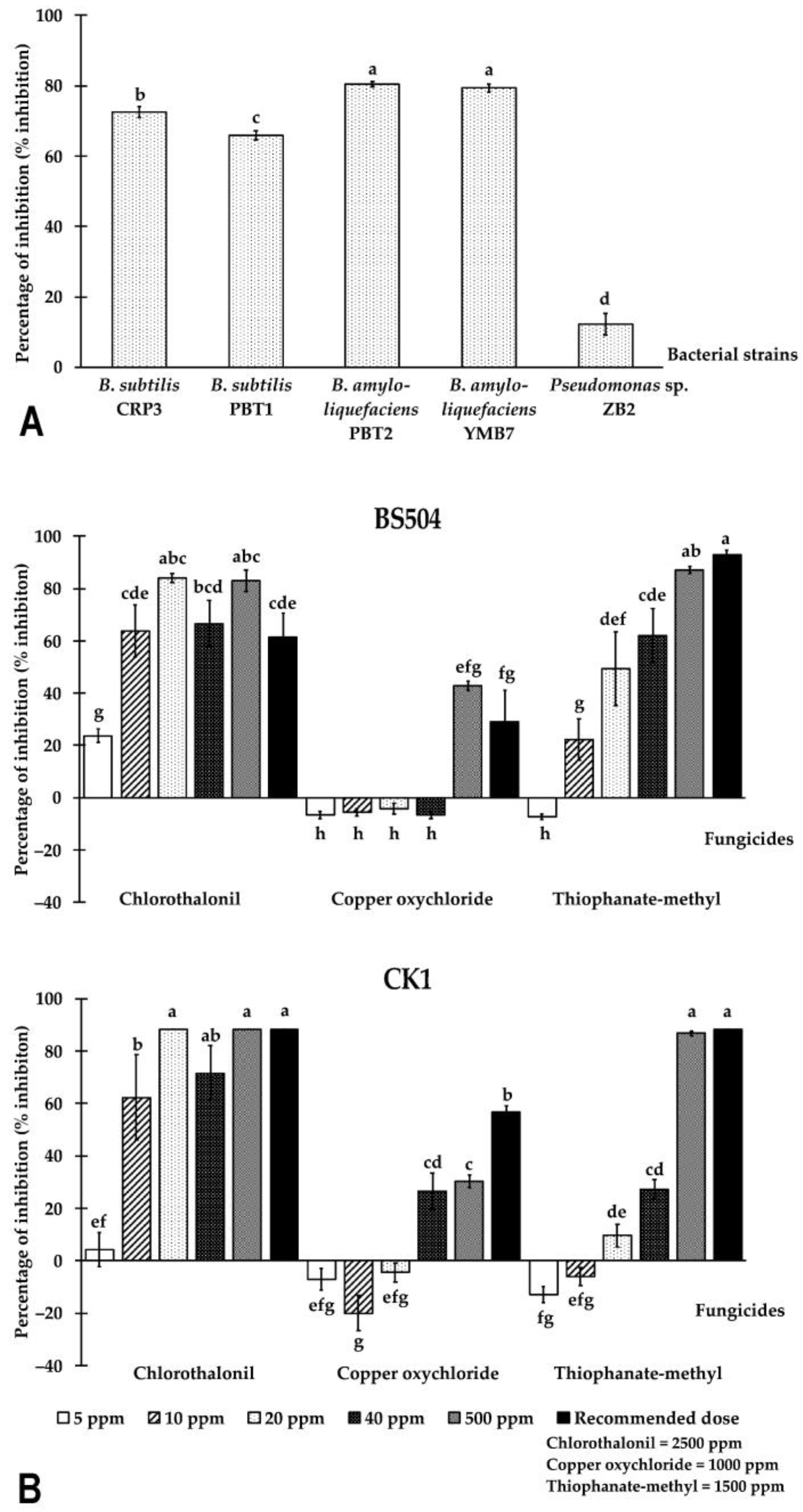 Plants 12 00480 g005 Plants 12 00480 g005