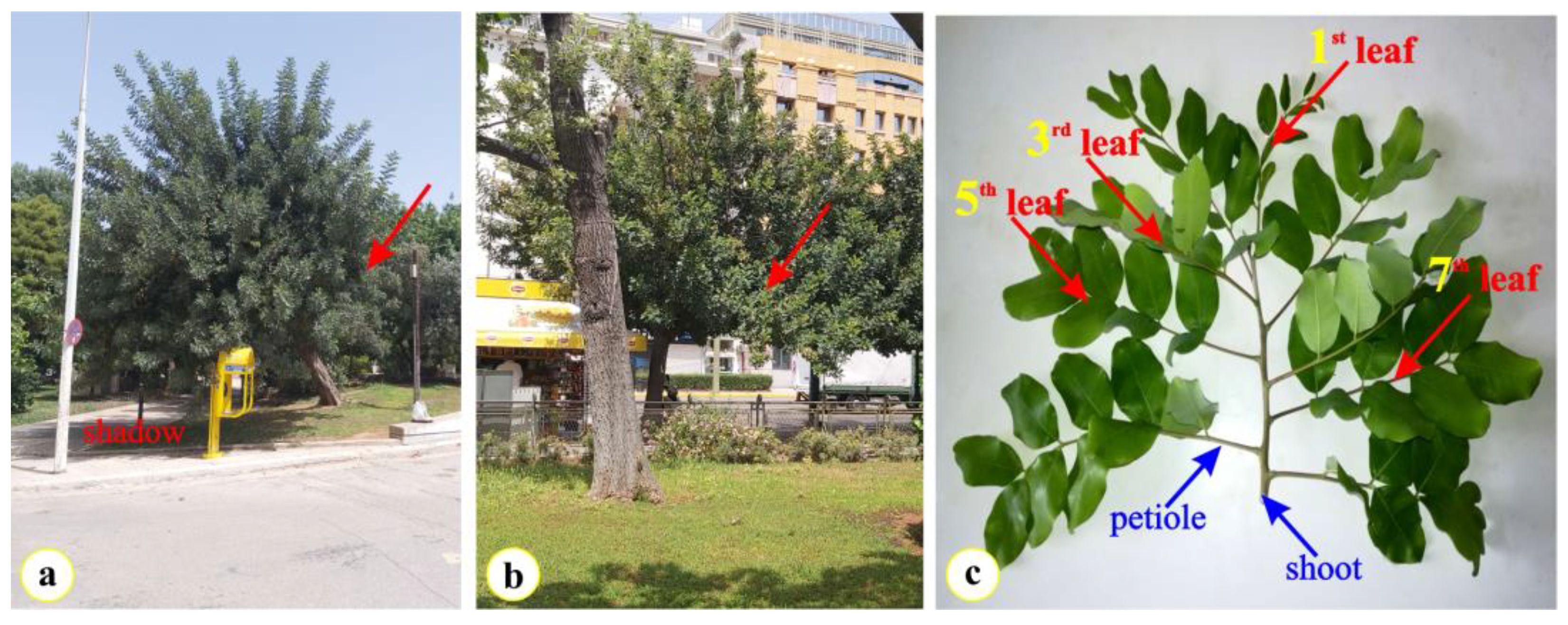 Plants 12 00514 g006