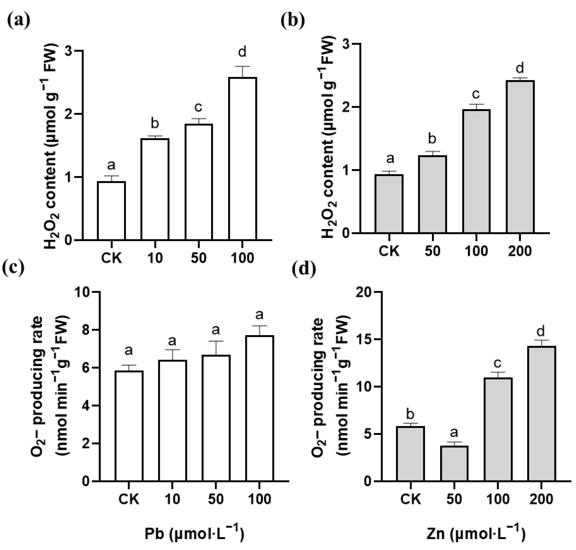 Plants 12 00516 g004