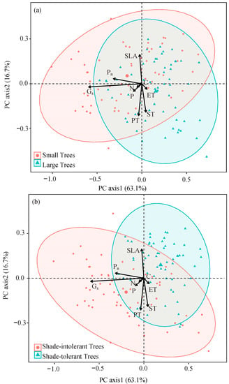 Plants | Free Full-Text | Do Tree Size and Tree Shade Tolerance 