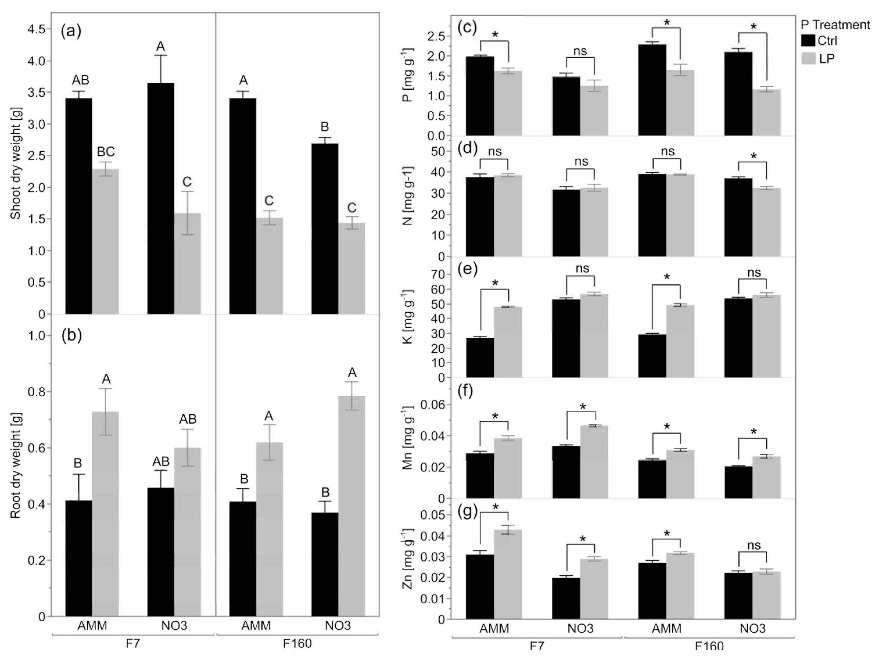 Plants | Free Full-Text | Nitrogen Fertilizer Type and Genotype as Drivers  of P Acquisition and Rhizosphere Microbiota Assembly in Juvenile Maize  Plants