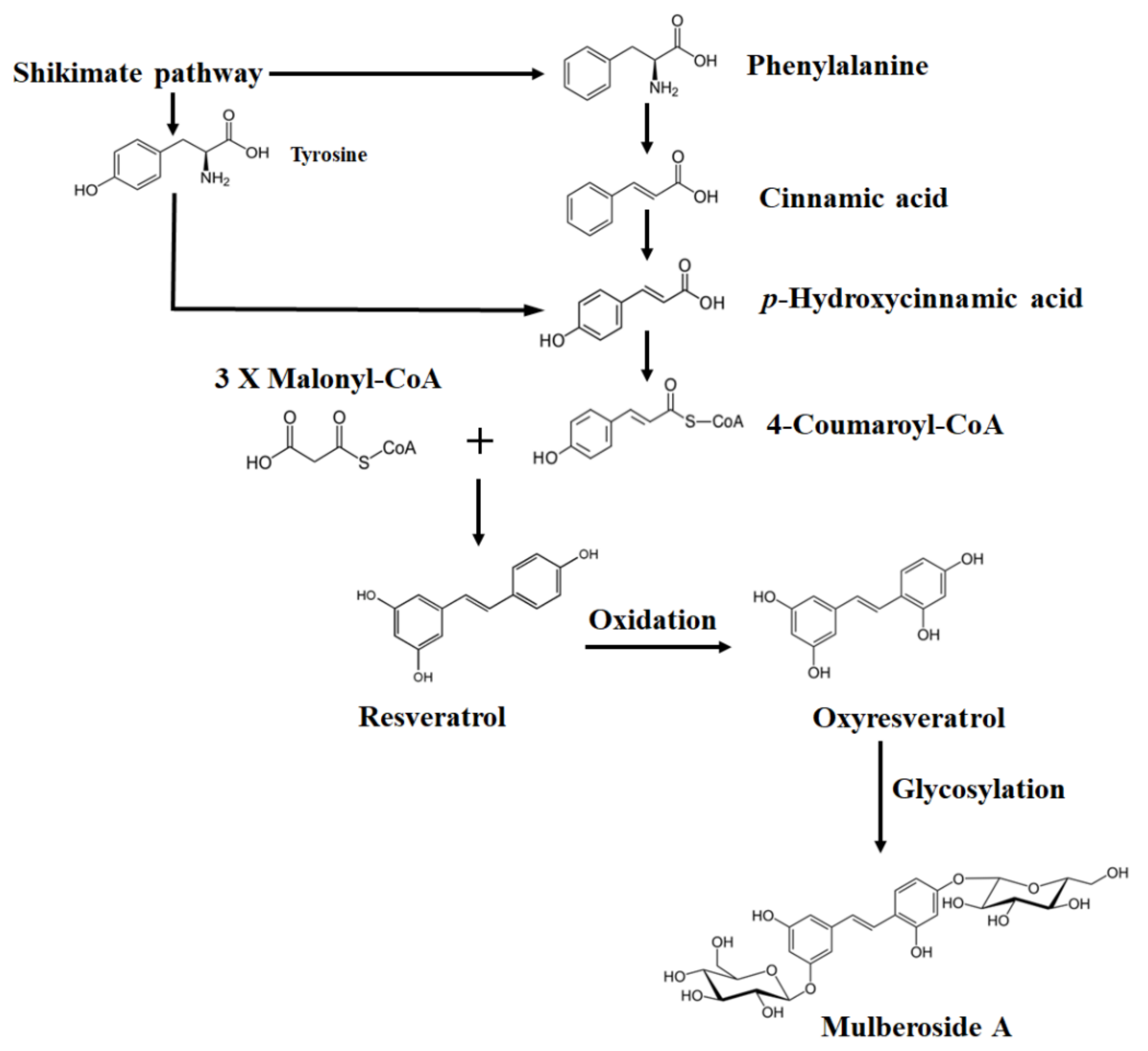 Plants 12 00546 g001 Plants 12 00546 g001