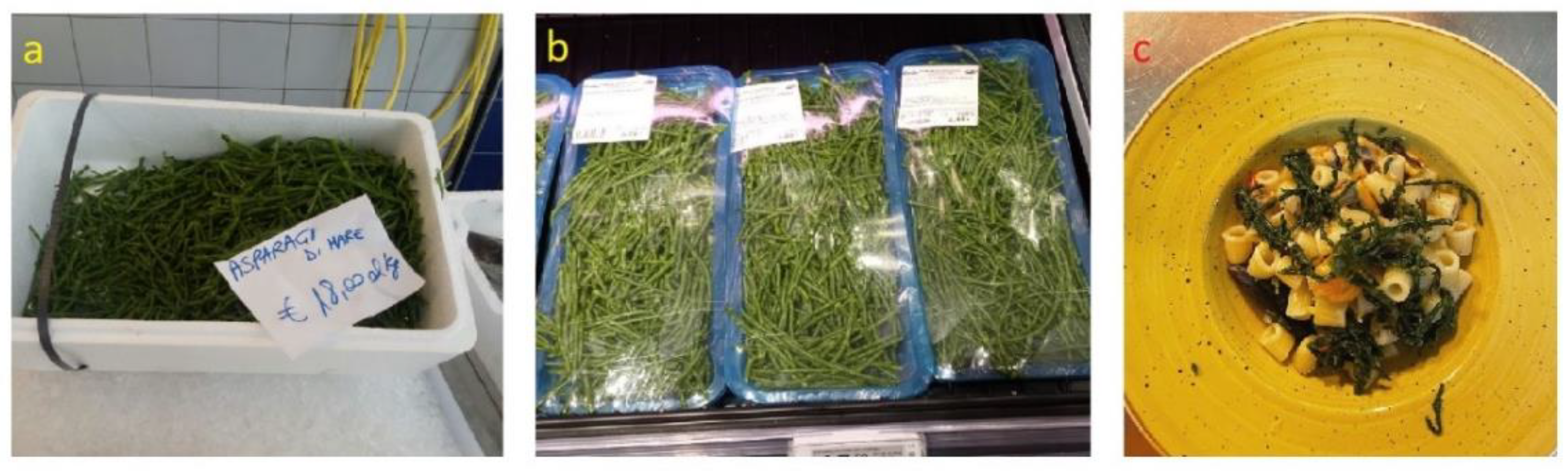 Plants 12 00549 g005 Plants 12 00549 g005