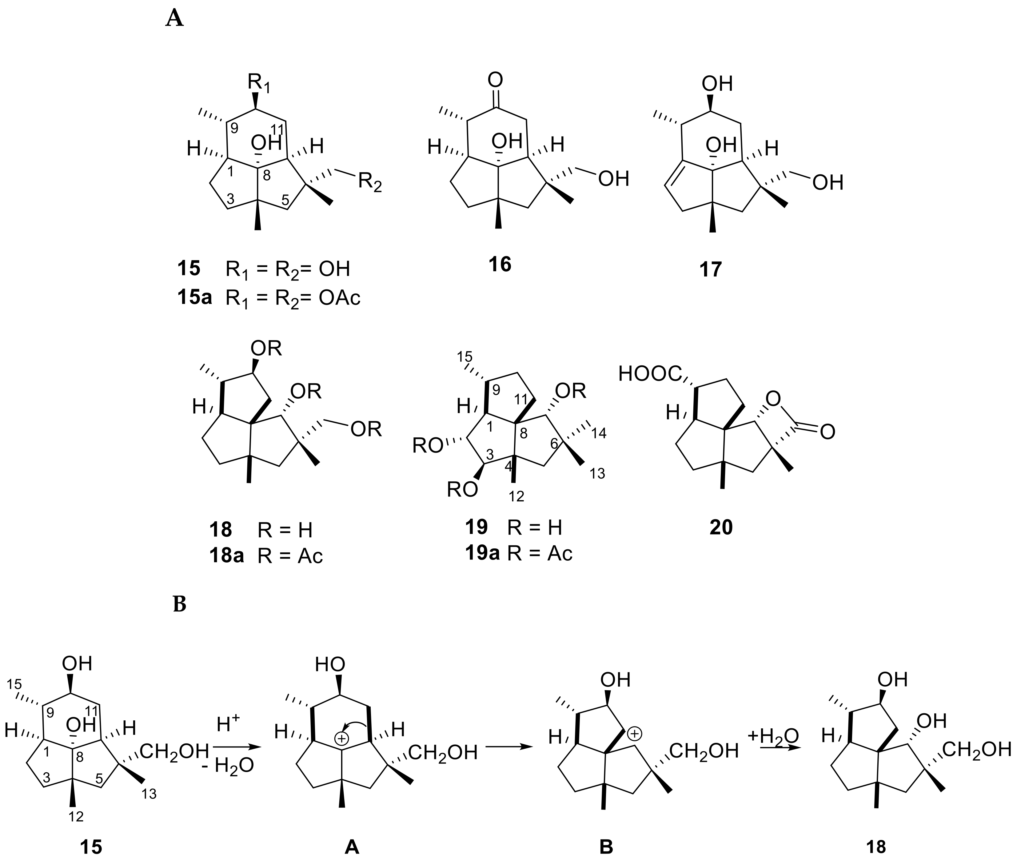 Plants | Free Full-Text | From Genes to Molecules, Secondary Metabolism ...