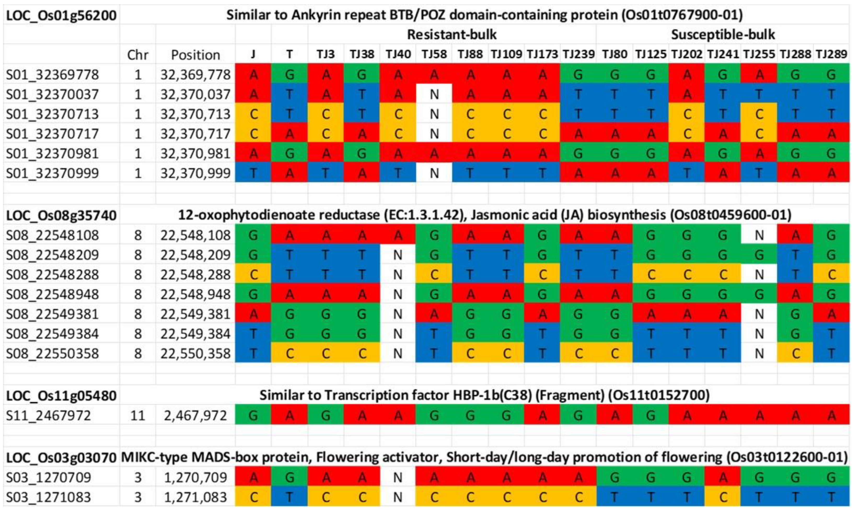 Plants 12 00559 g004