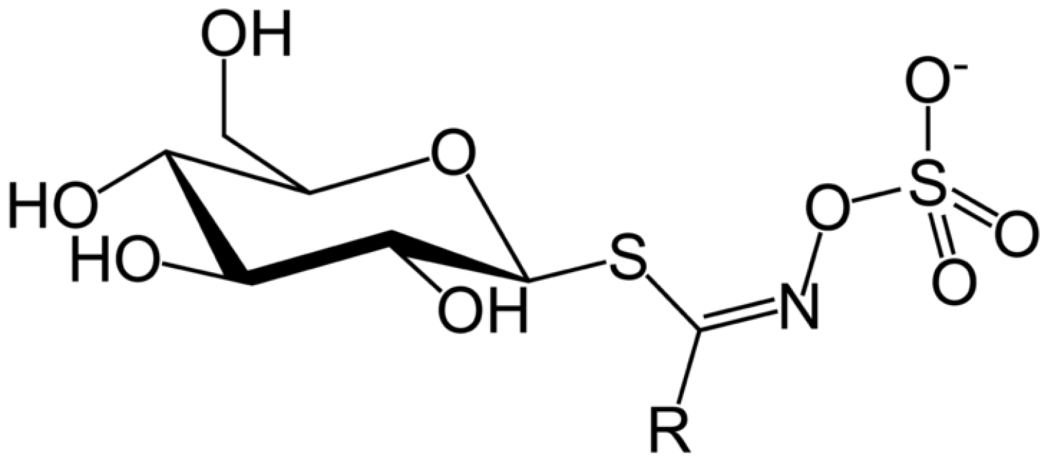Plants 12 00570 g002