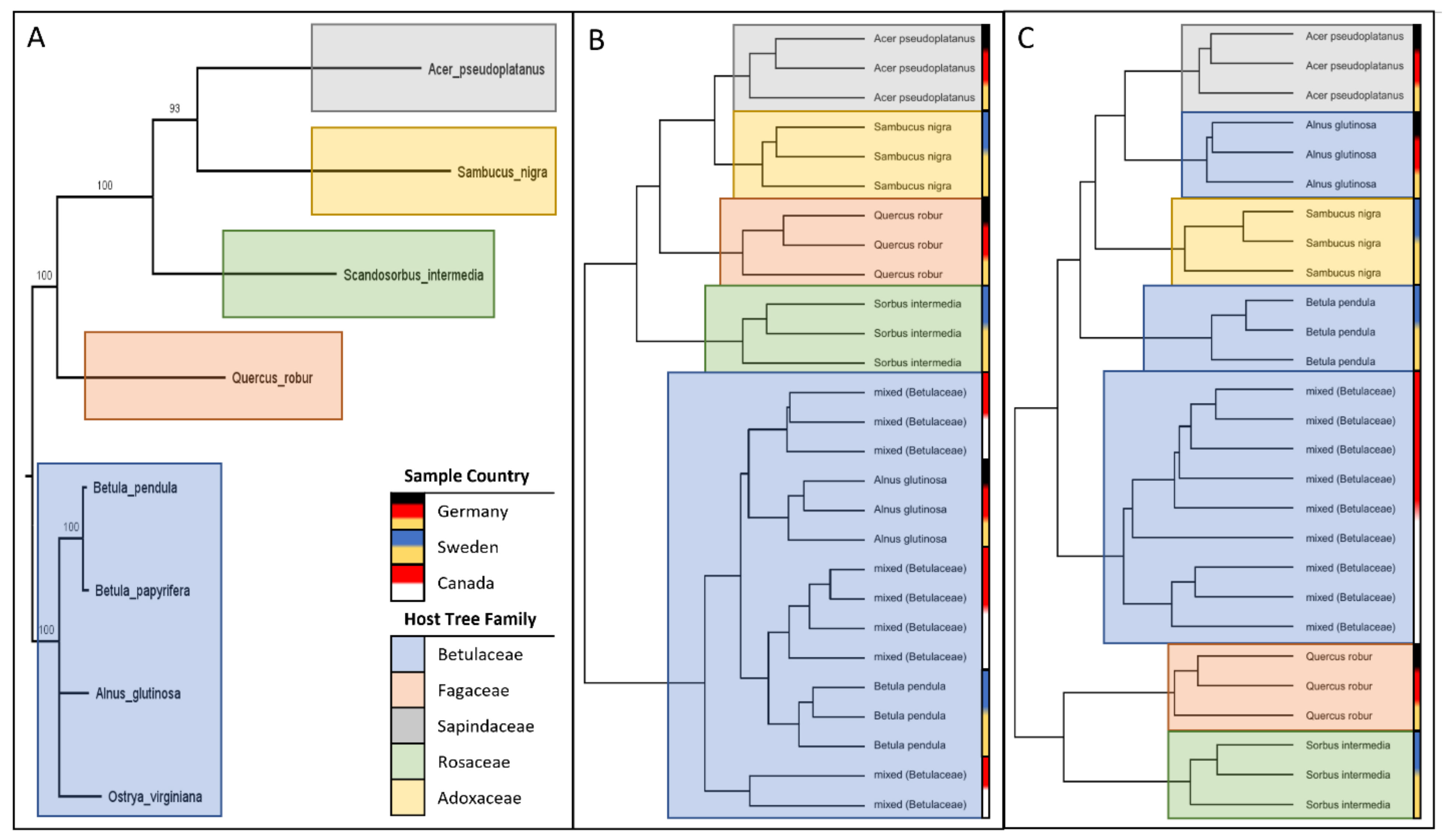Plants 12 00571 g007 Plants 12 00571 g007