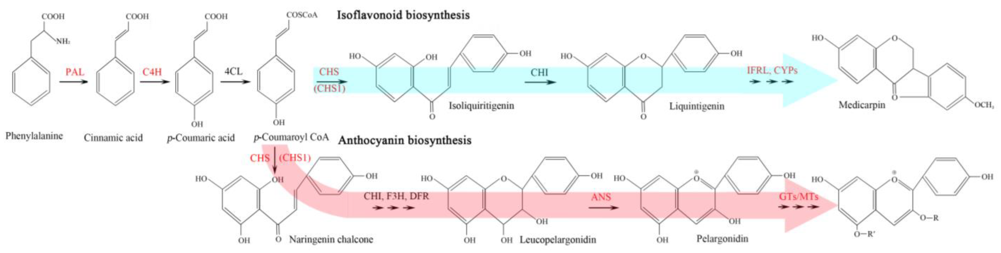 Plants 12 00575 g005 Plants 12 00575 g005