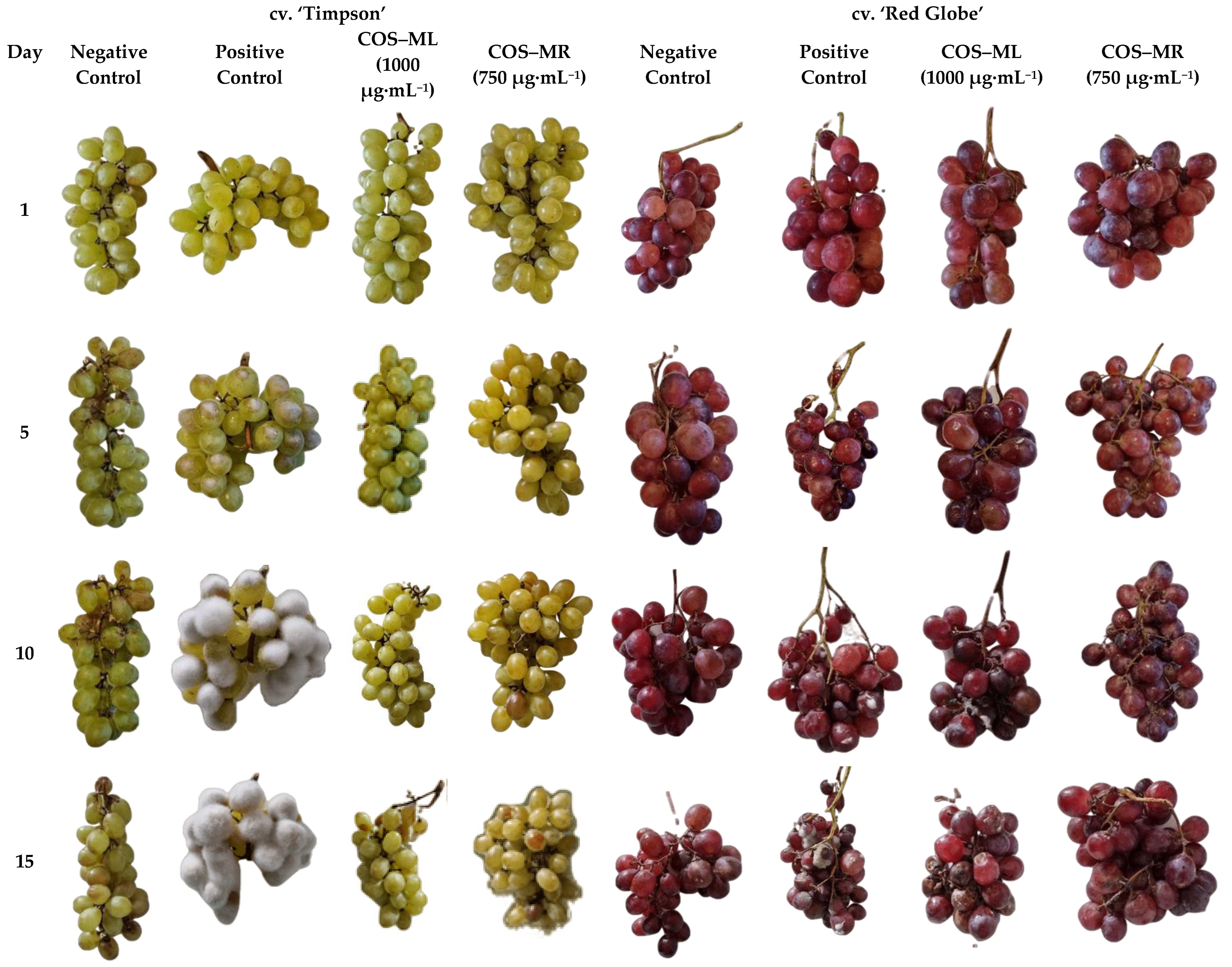 Plants 12 00577 g004 Plants 12 00577 g004