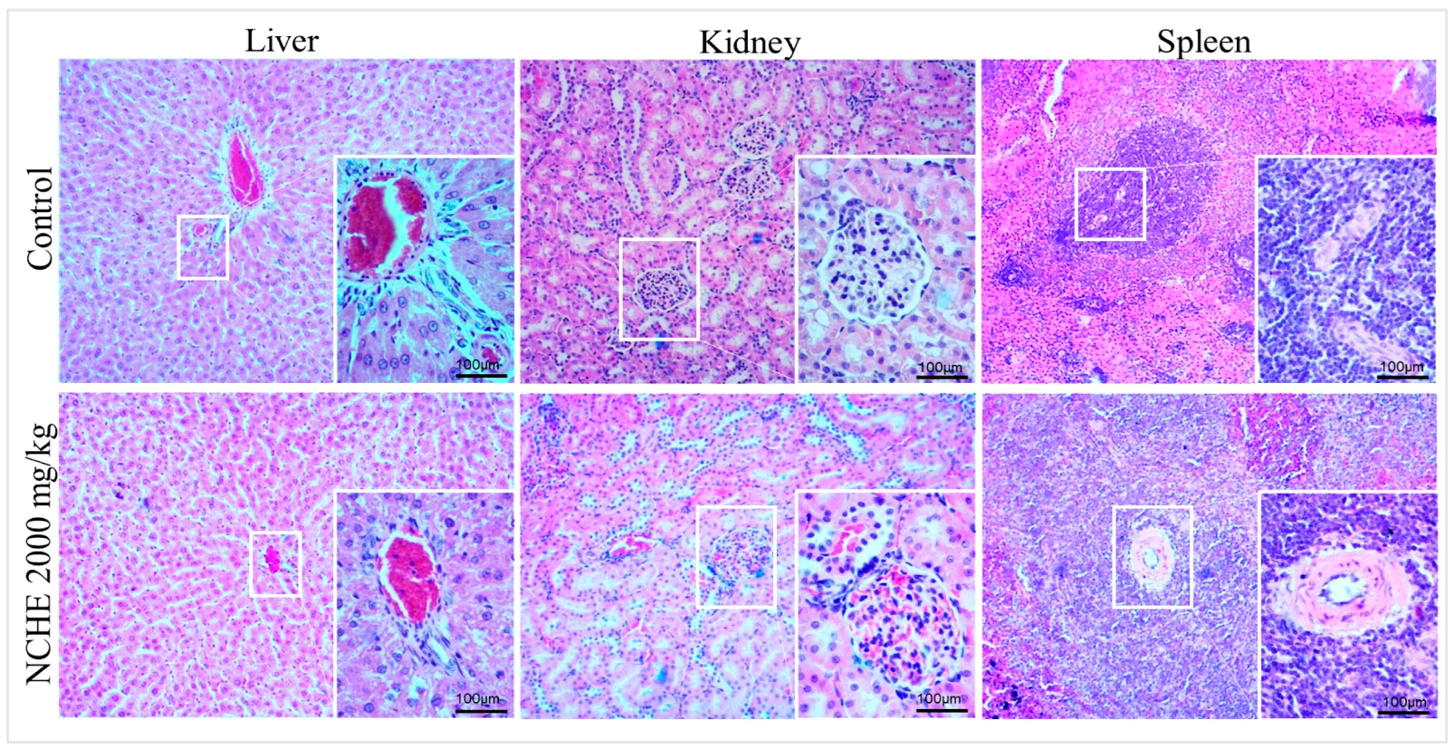 Plants 12 00594 g002