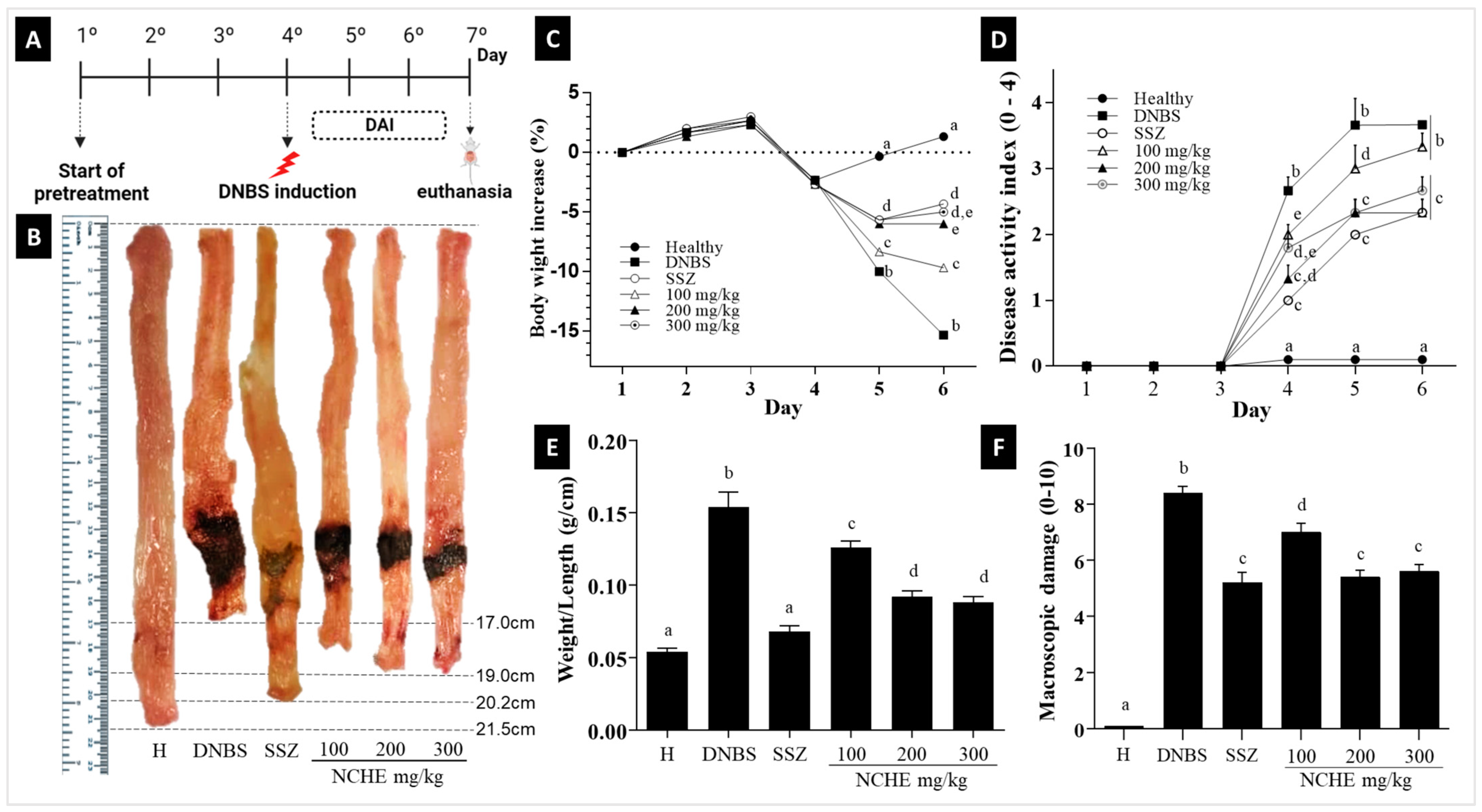 Plants 12 00594 g003