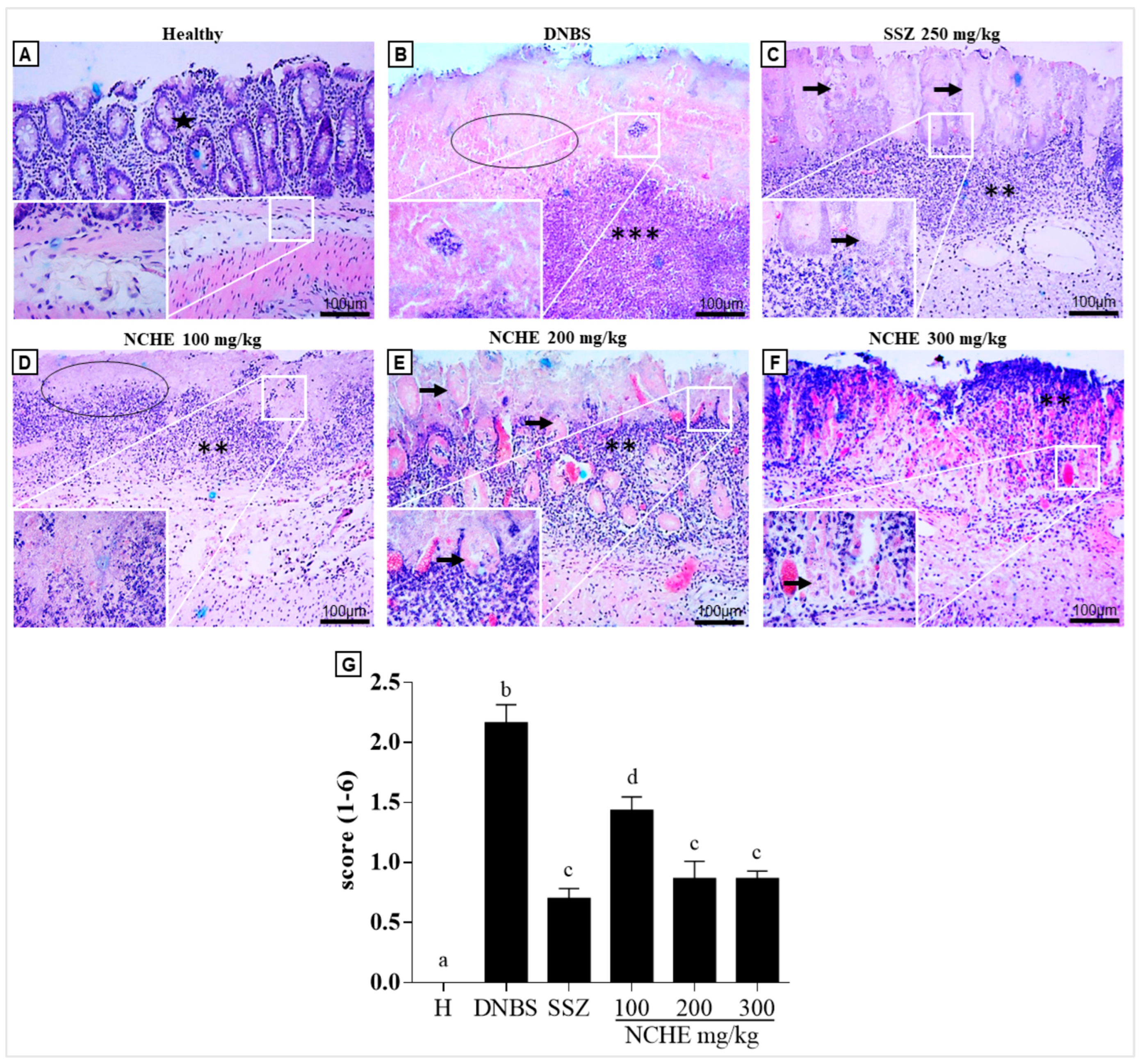 Plants 12 00594 g007