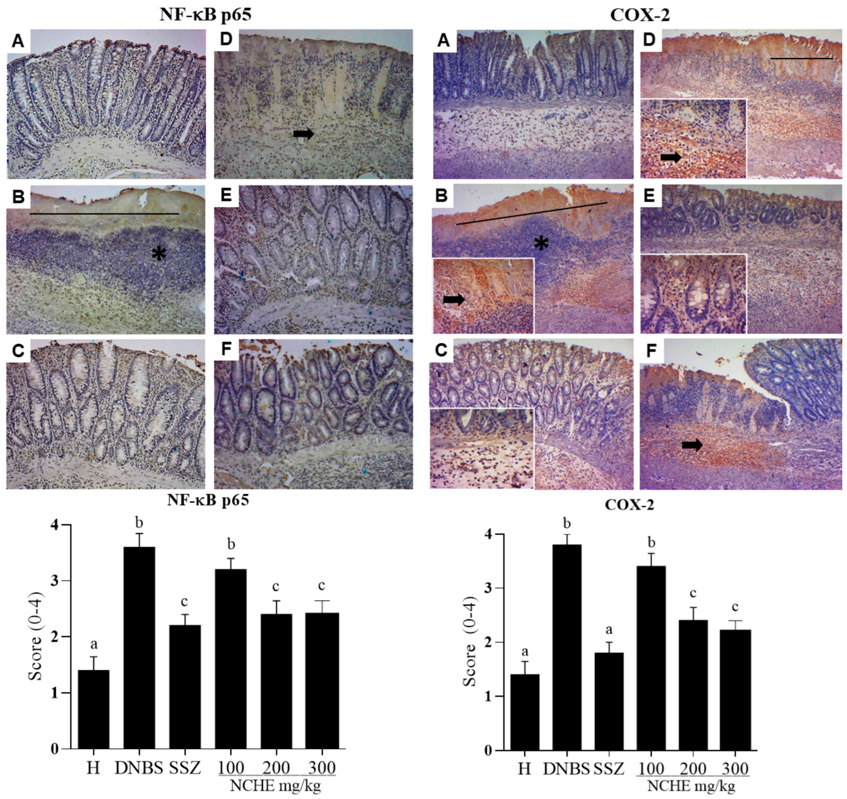 Plants 12 00594 g008