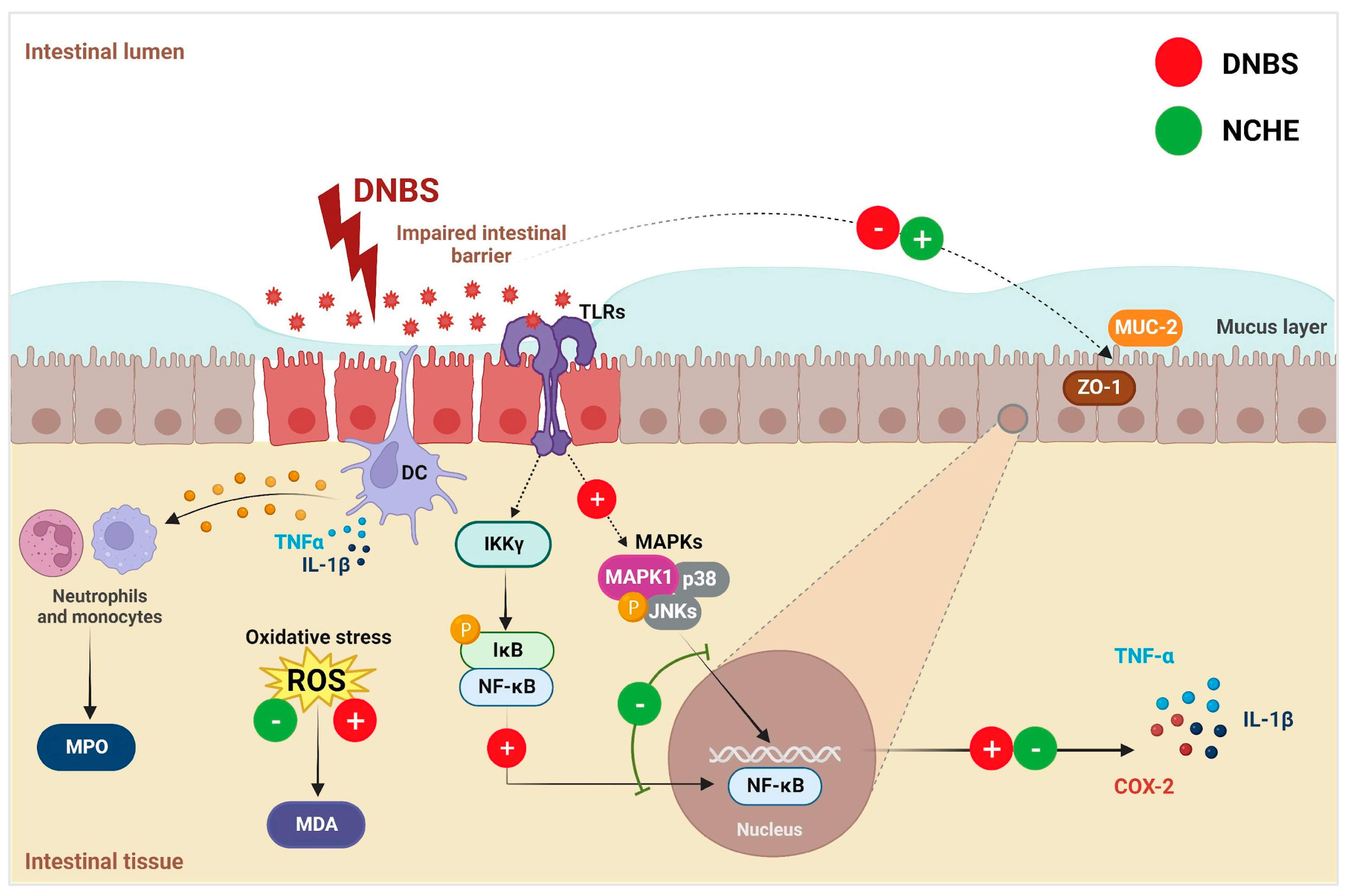 Plants 12 00594 g009