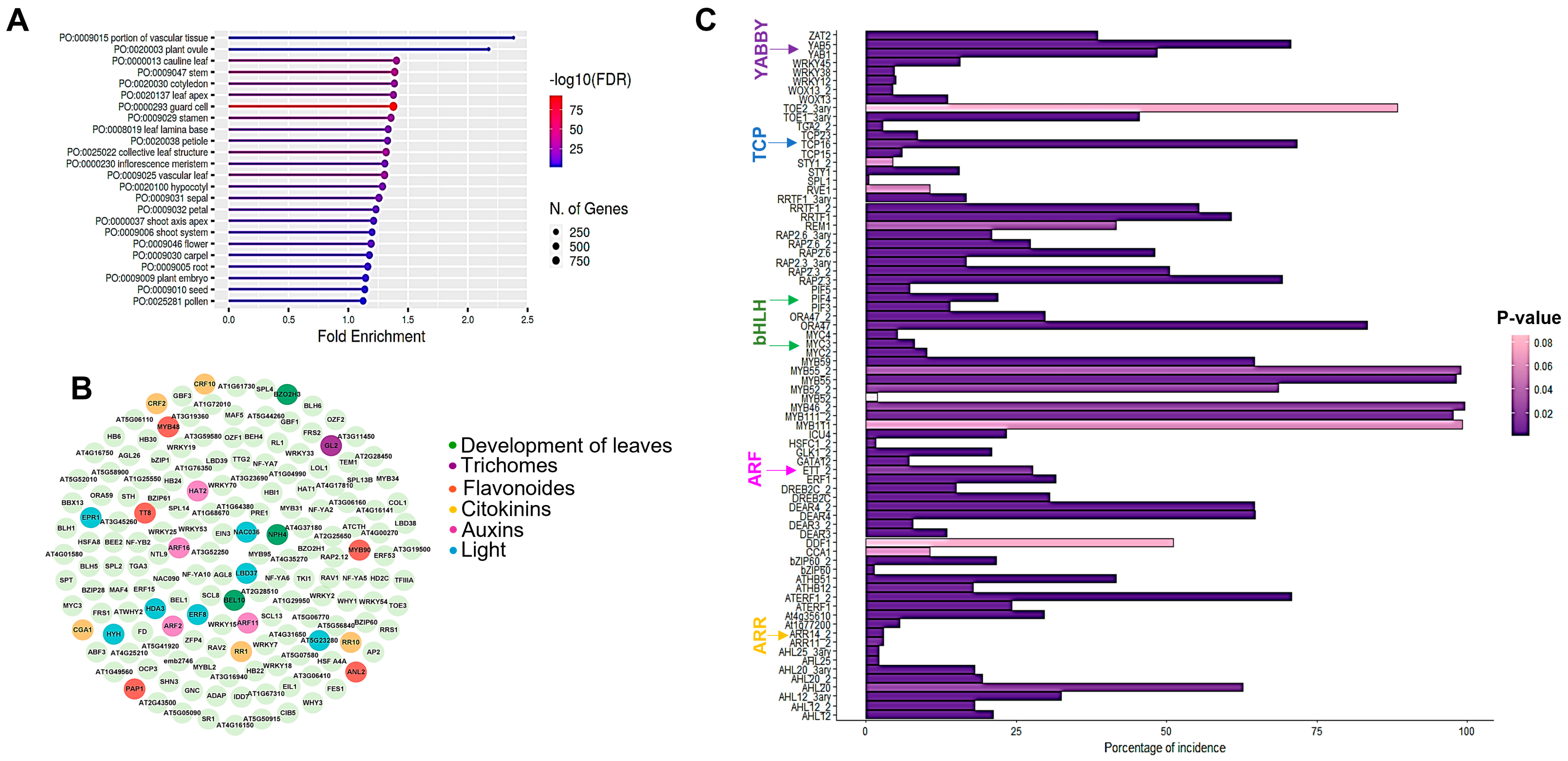 Plants 12 00596 g001 Plants 12 00596 g001