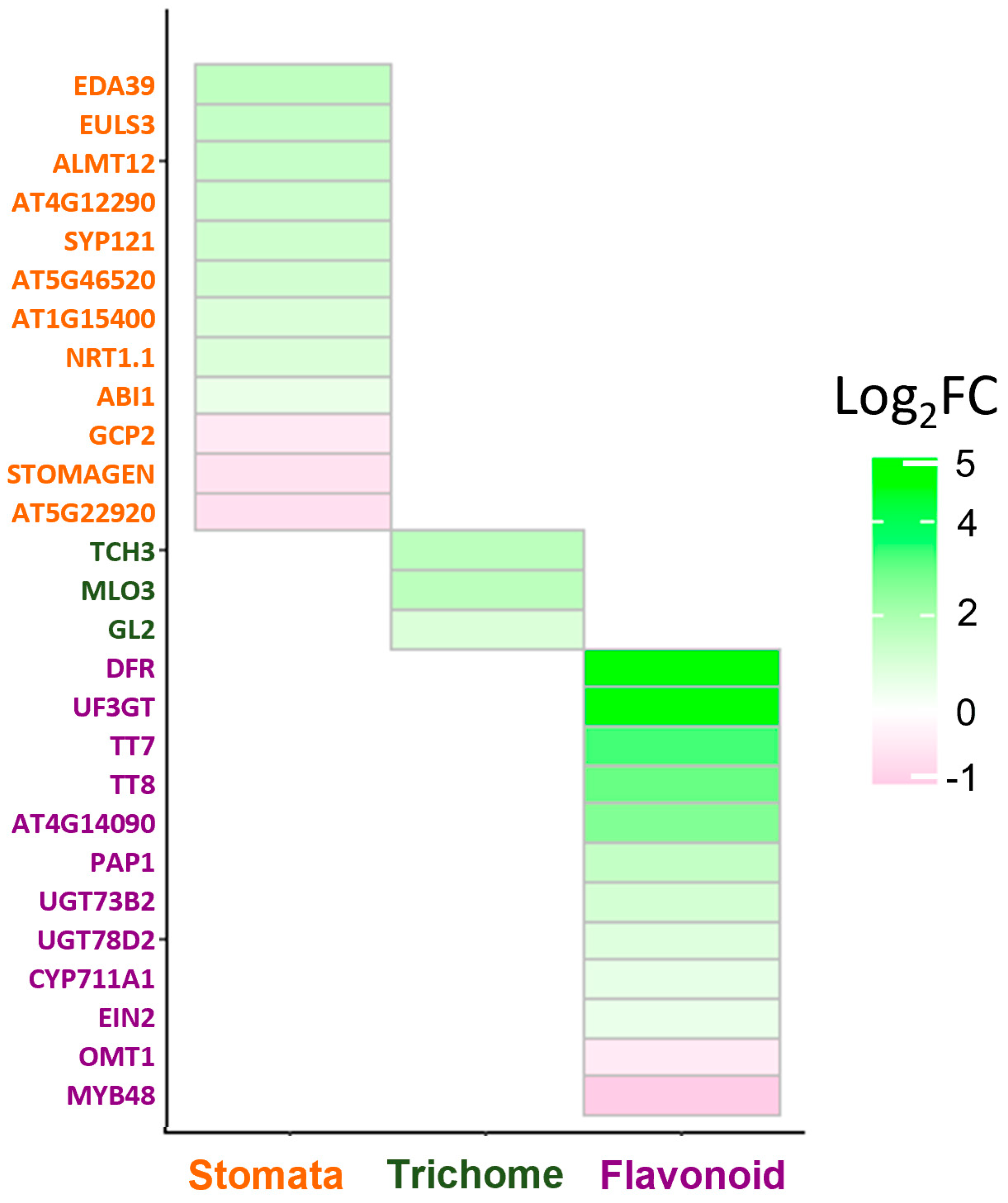 Plants 12 00596 g002 Plants 12 00596 g002