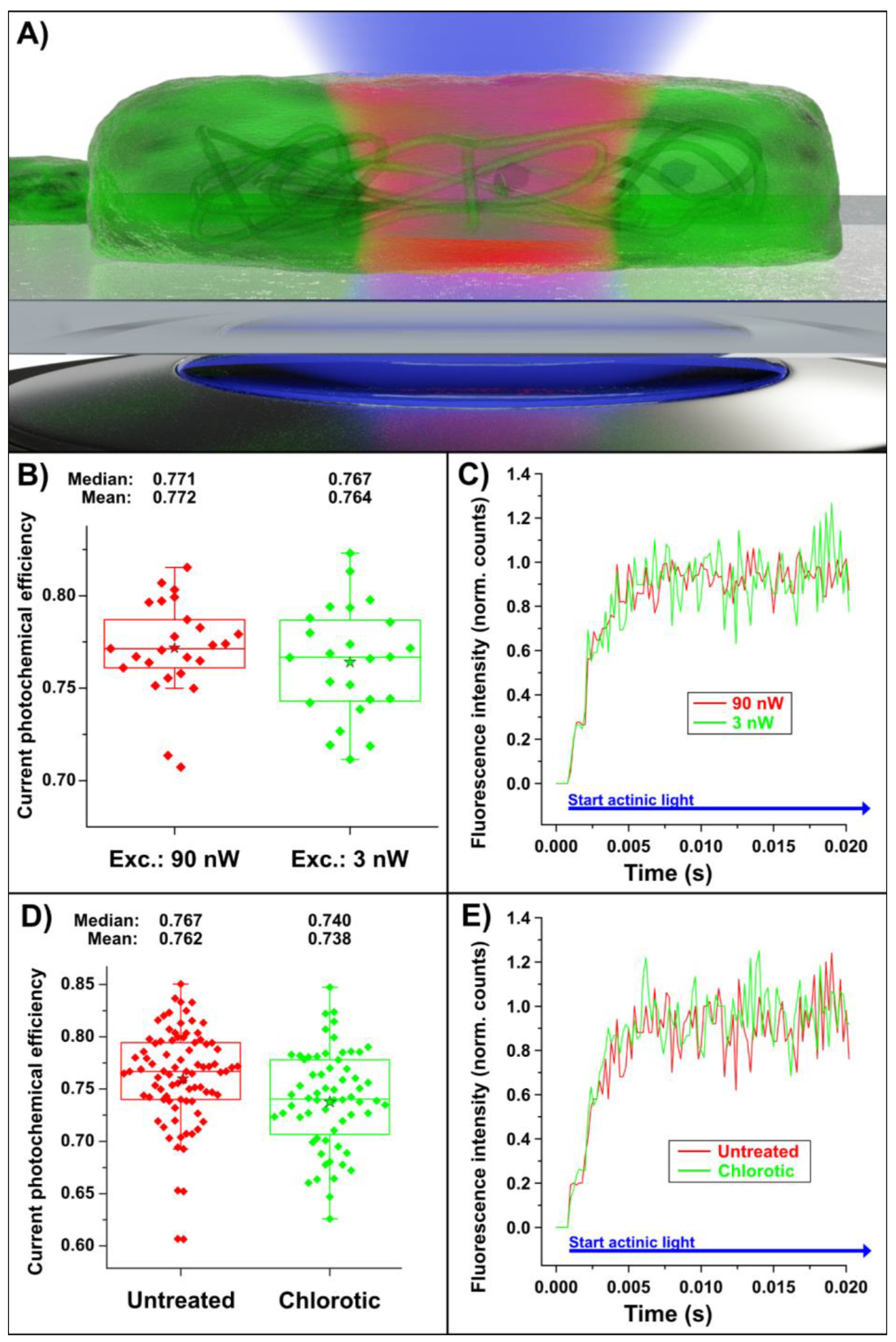 Plants 12 00607 g002