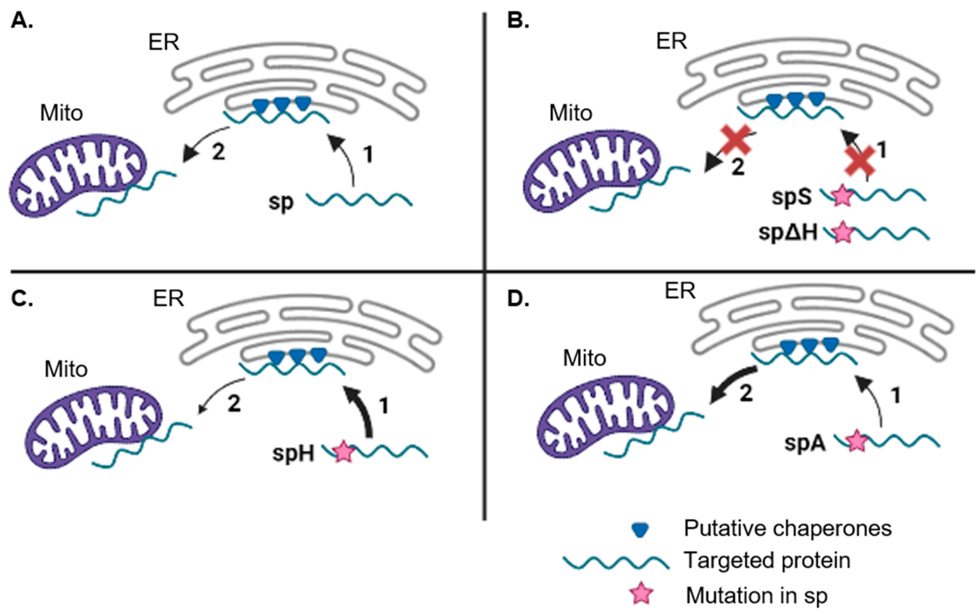 Plants 12 00617 g005 Plants 12 00617 g005