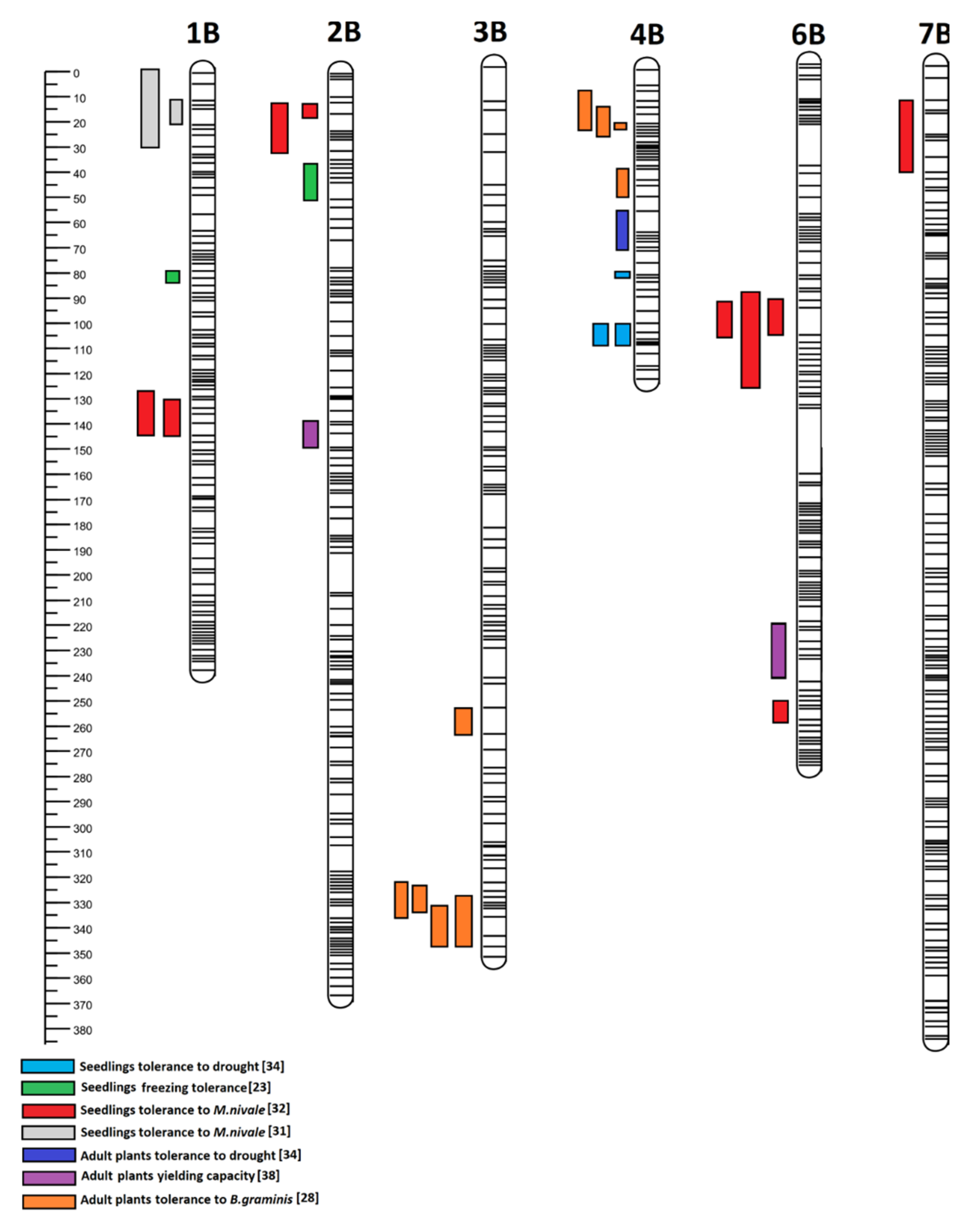 Plants 12 00619 g002