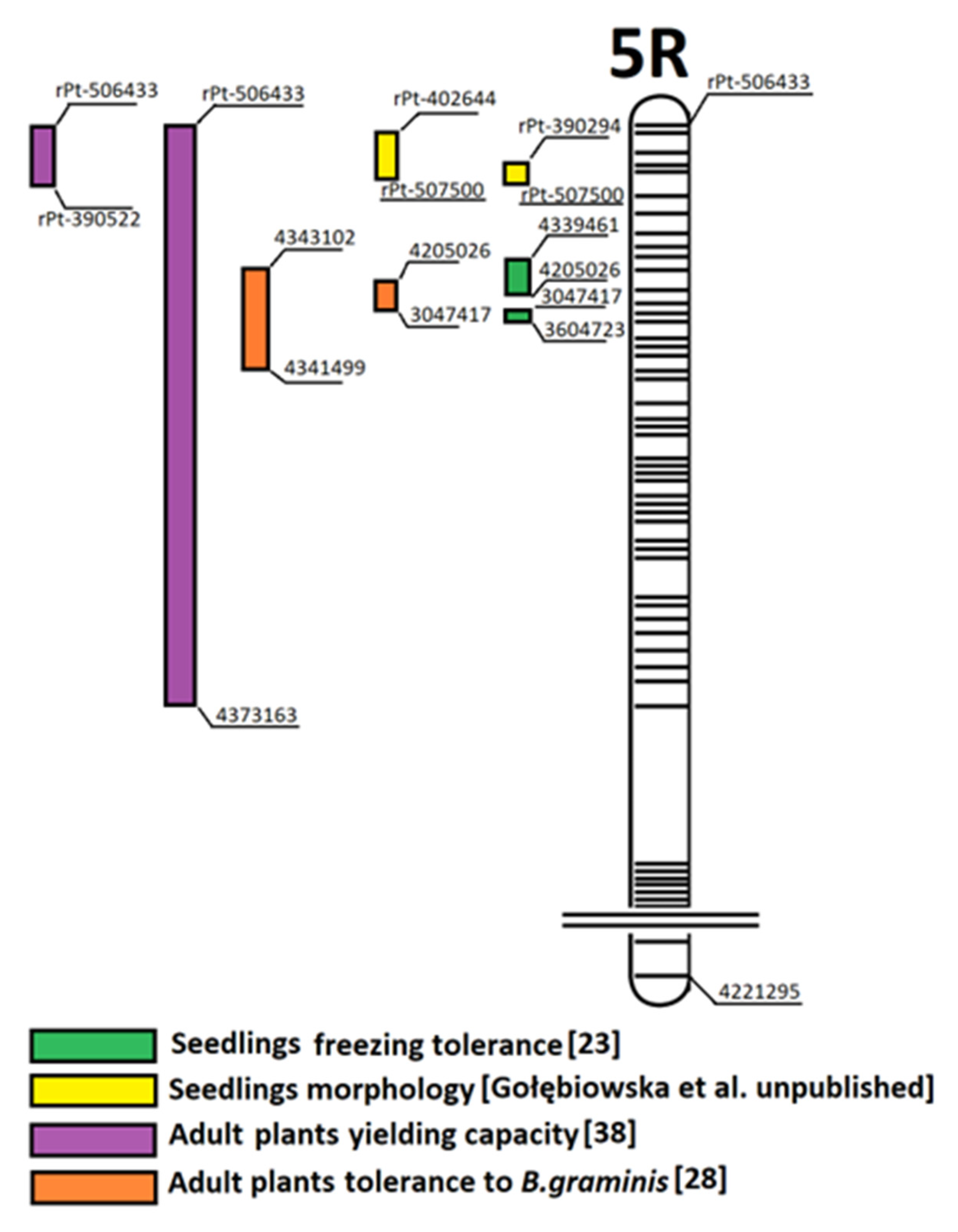Plants 12 00619 g004