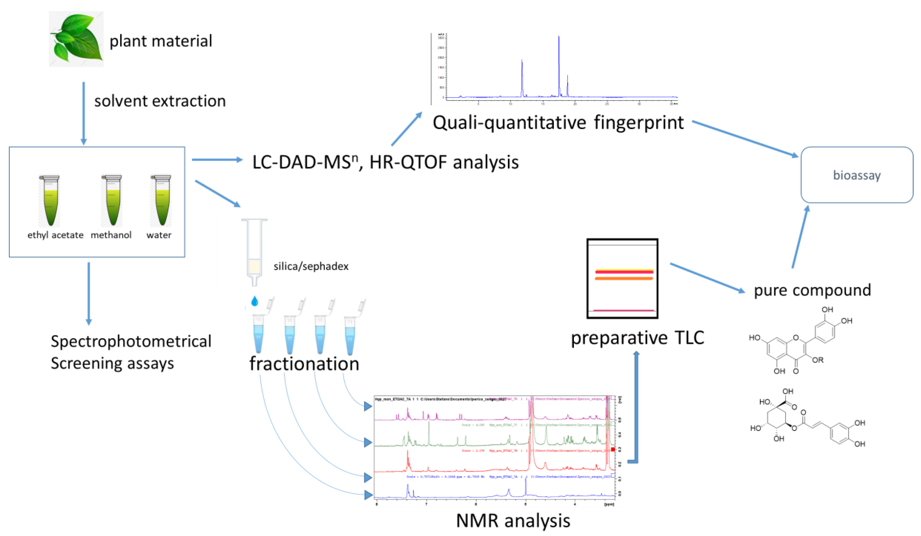 Plants 12 00648 g001 Plants 12 00648 g001