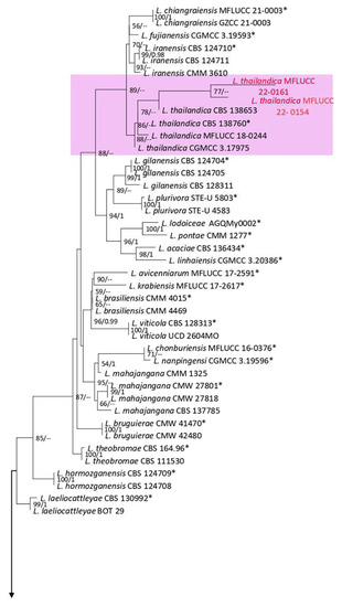 PDF) Micro-morphological characters in Polypodiaceae and its taxonomic  significance