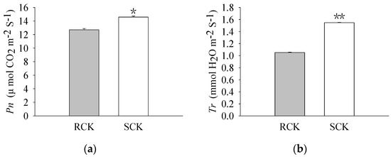 Plants | Free Full-Text | Proteomic Analysis Comparison on the