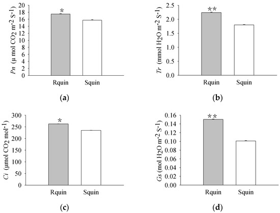 Plants | Free Full-Text | Proteomic Analysis Comparison on the