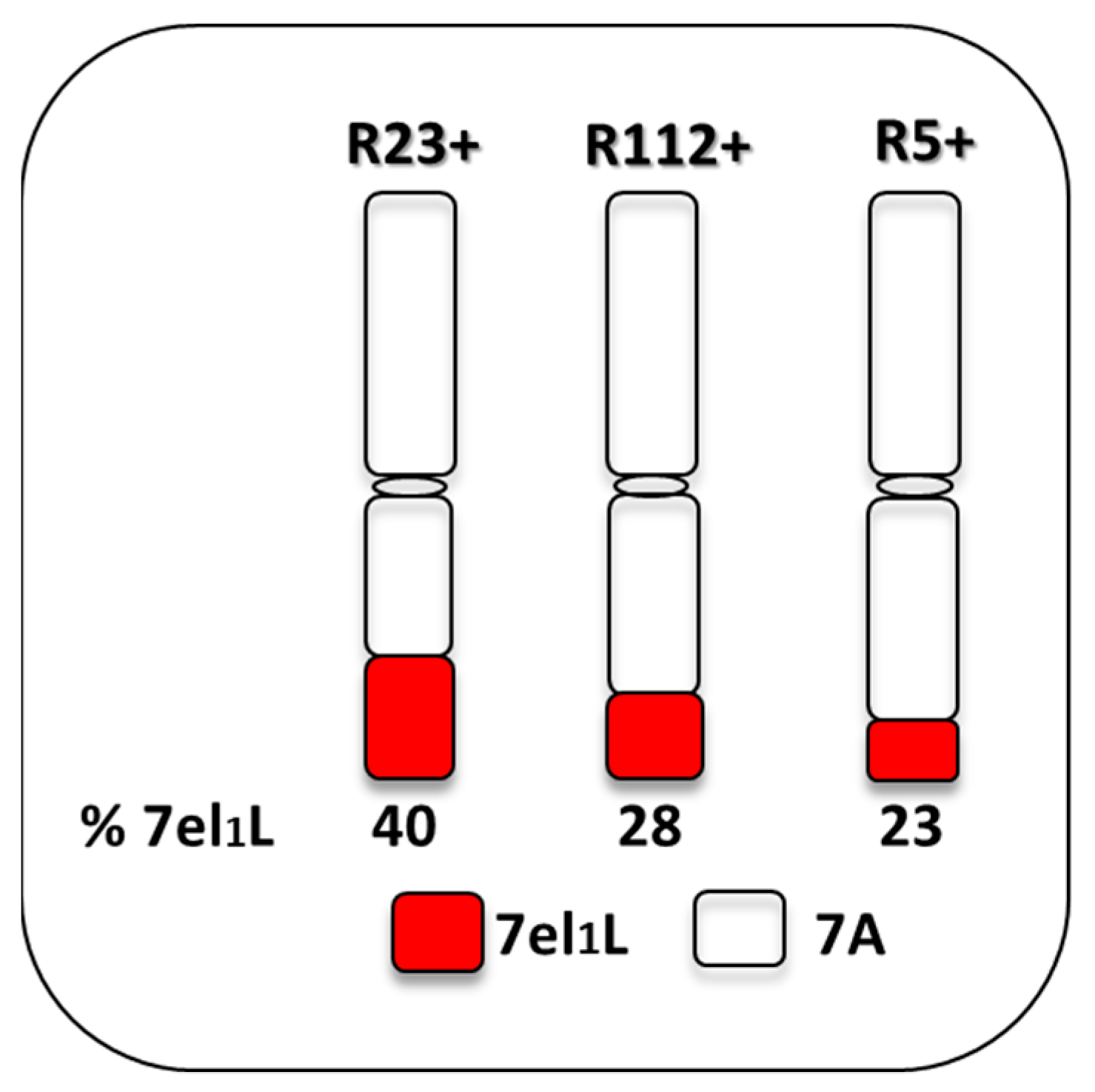 Plants 12 00704 g001