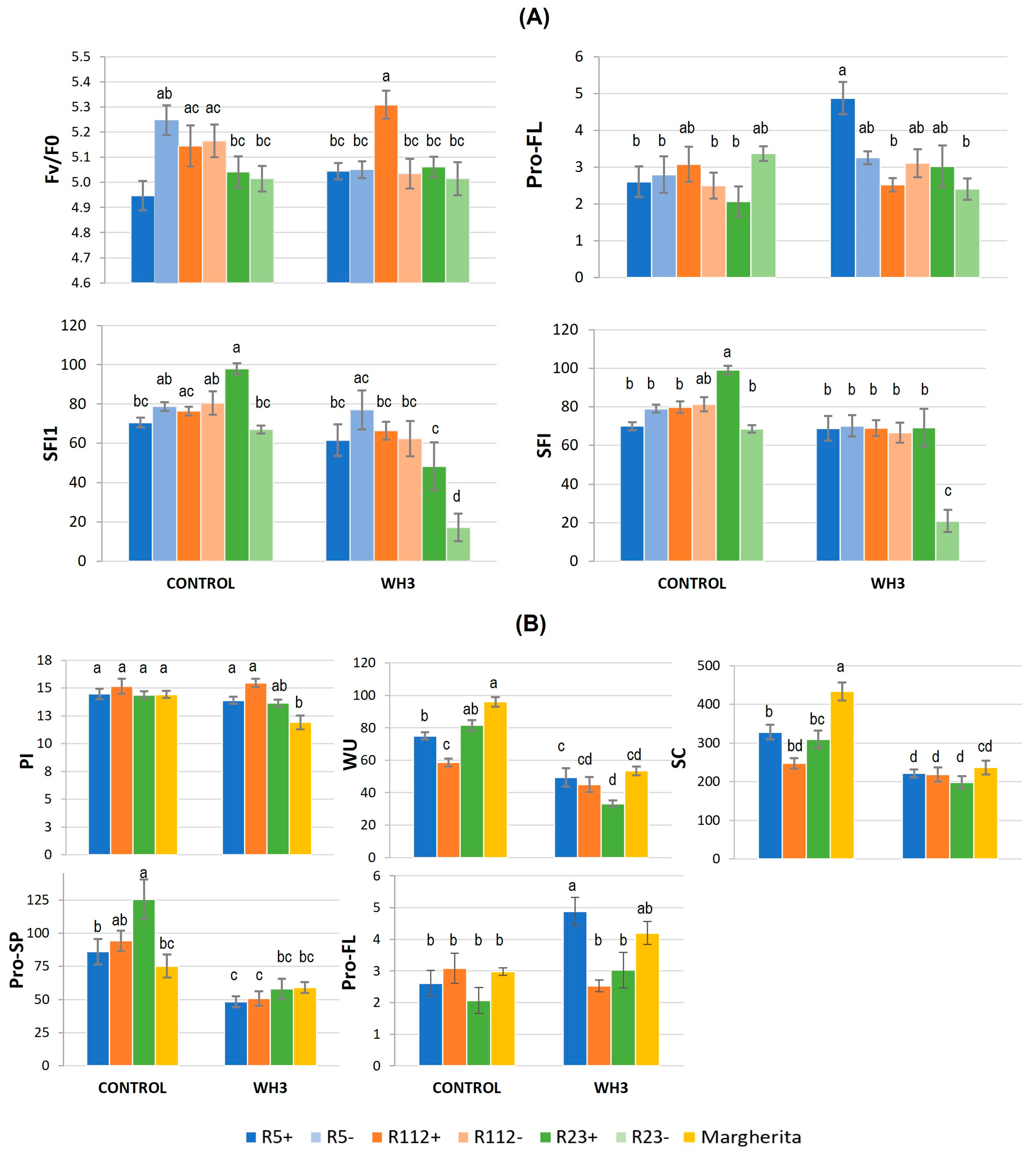 Plants 12 00704 g005