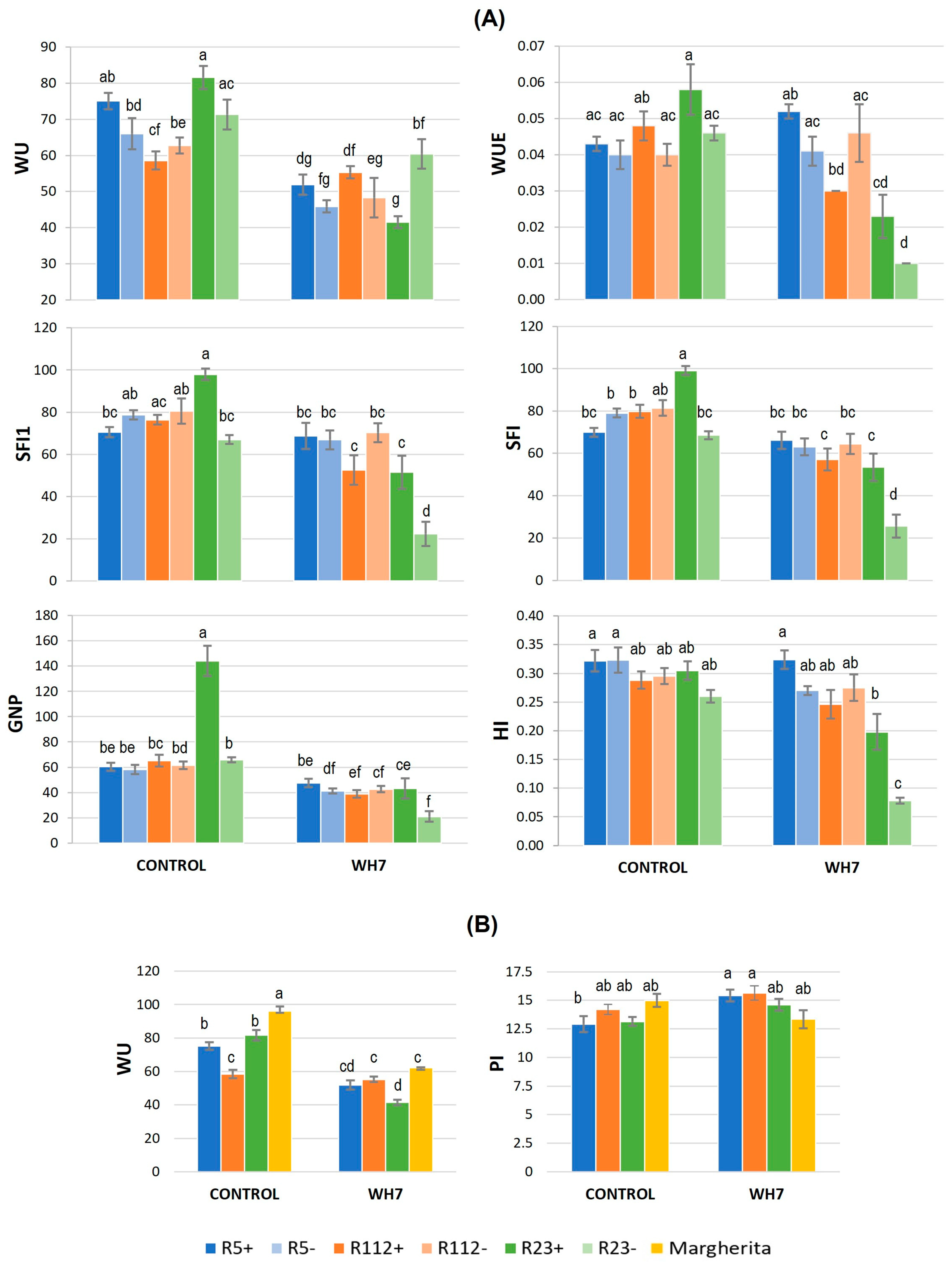 Plants 12 00704 g006