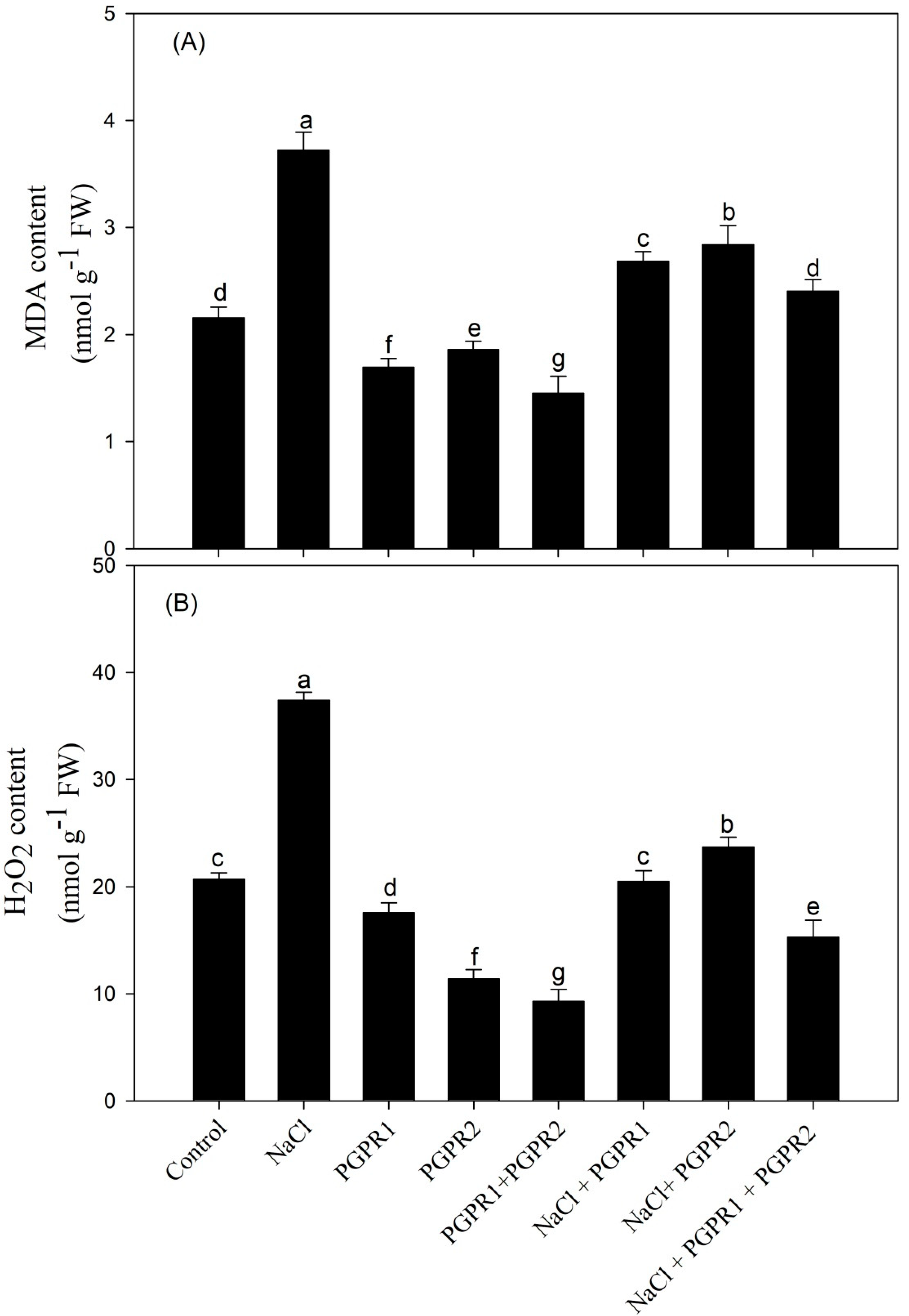 Plants 12 00705 g005 Plants 12 00705 g005