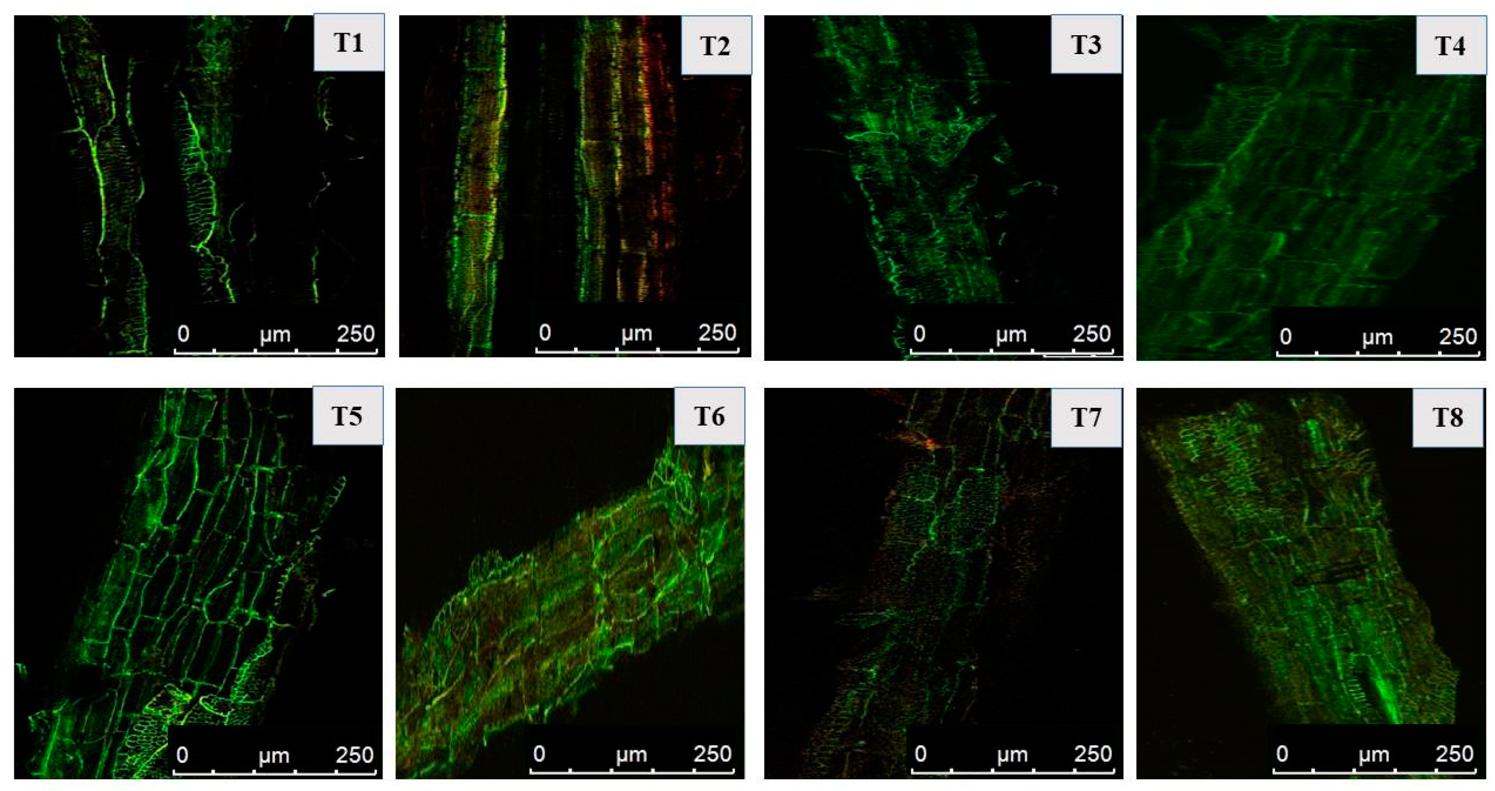Plants 12 00705 g009 Plants 12 00705 g009
