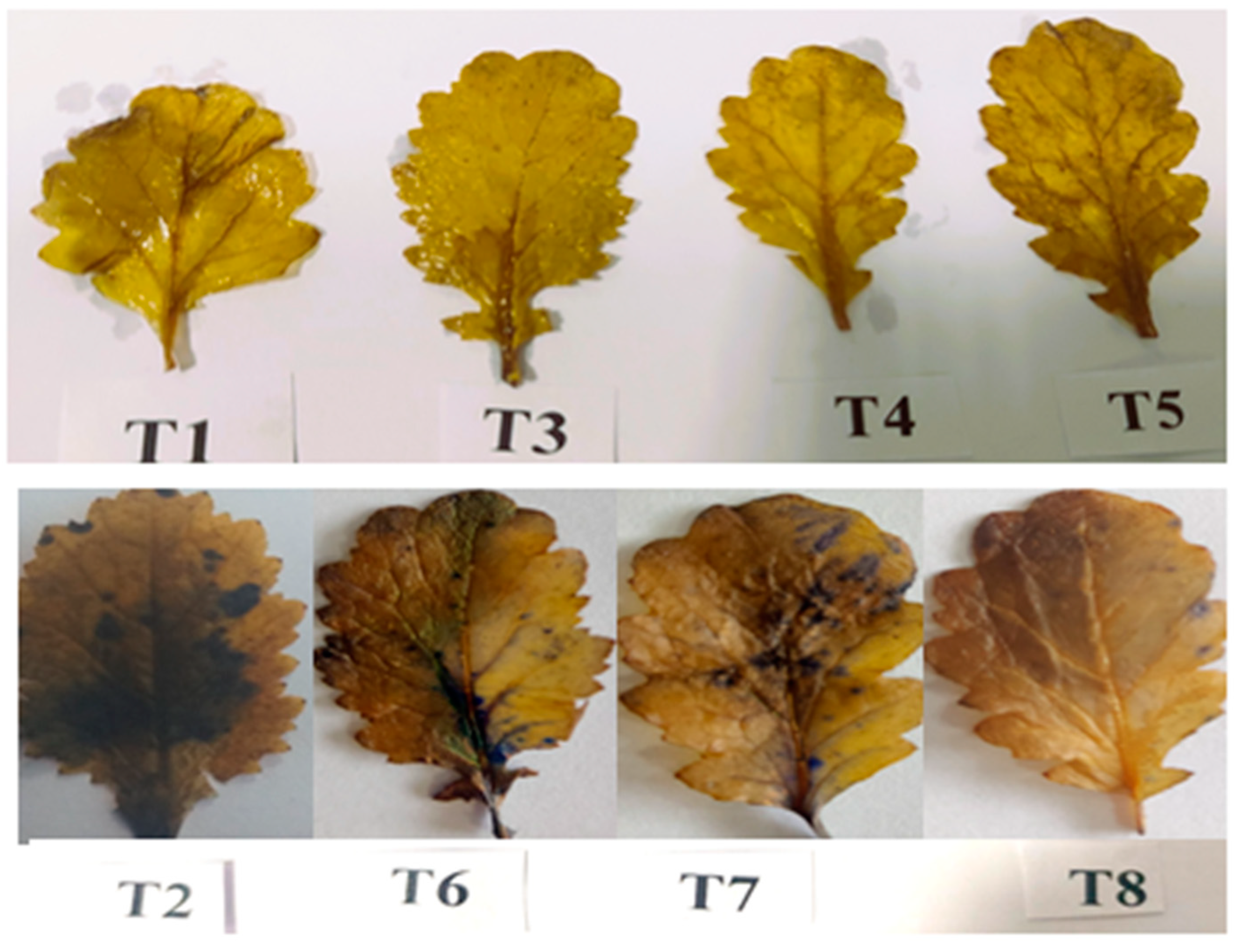 Plants 12 00705 g010 Plants 12 00705 g010