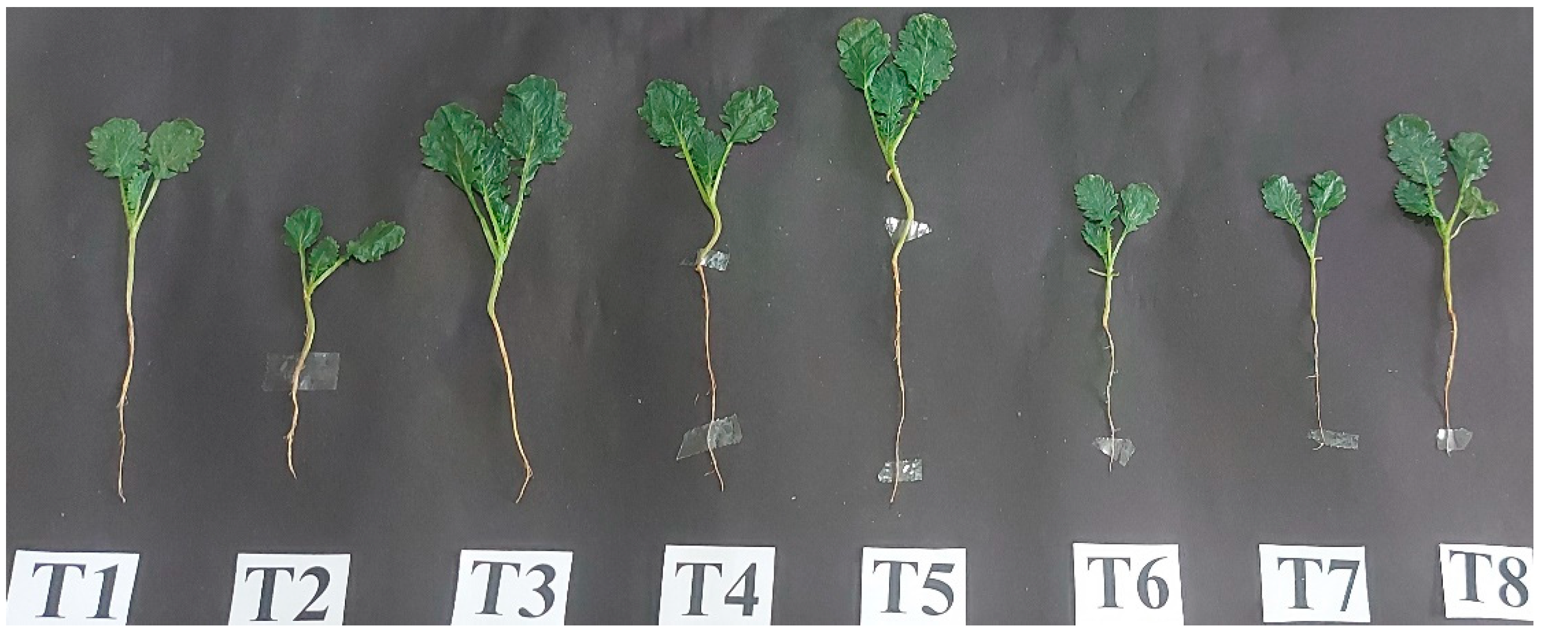 Plants 12 00705 g014 Plants 12 00705 g014