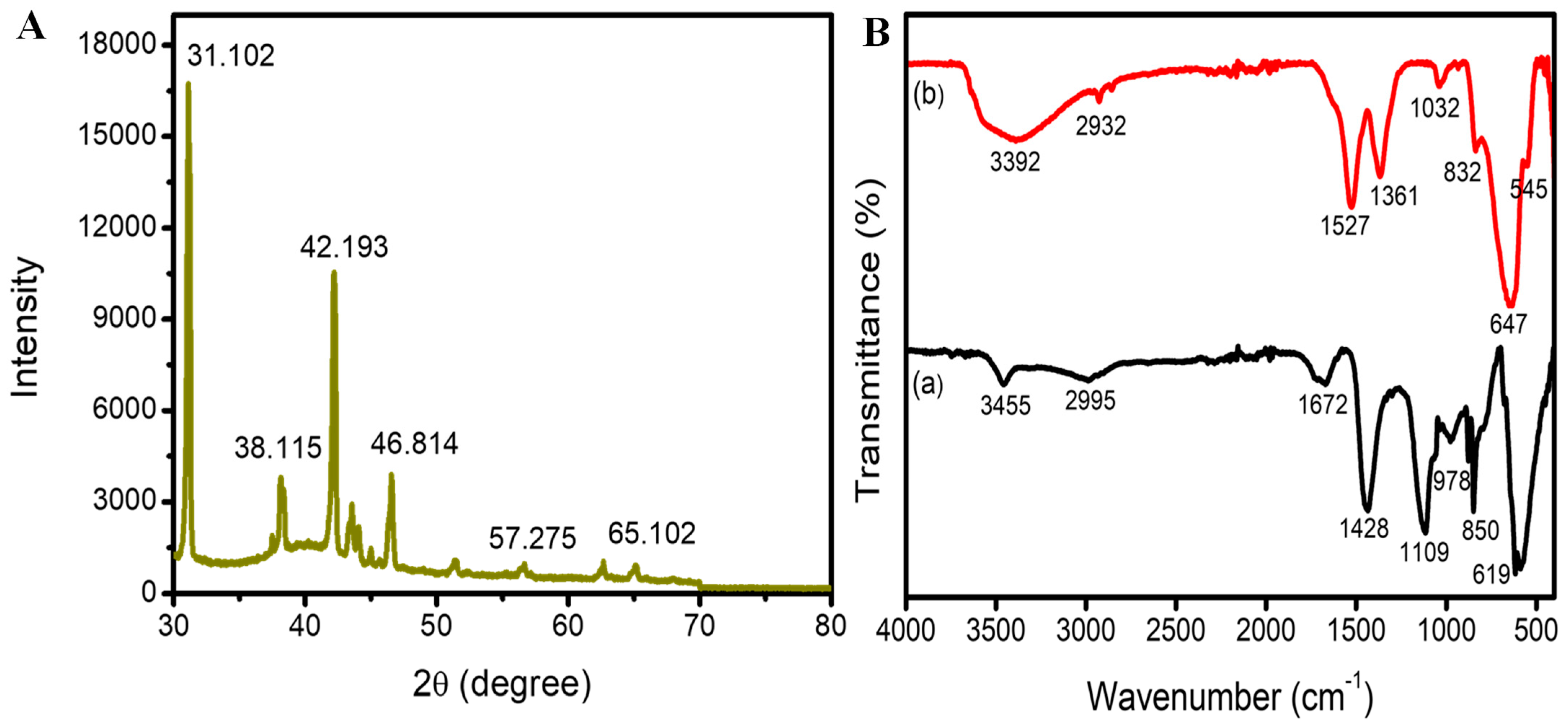 Plants 12 00707 g002 Plants 12 00707 g002