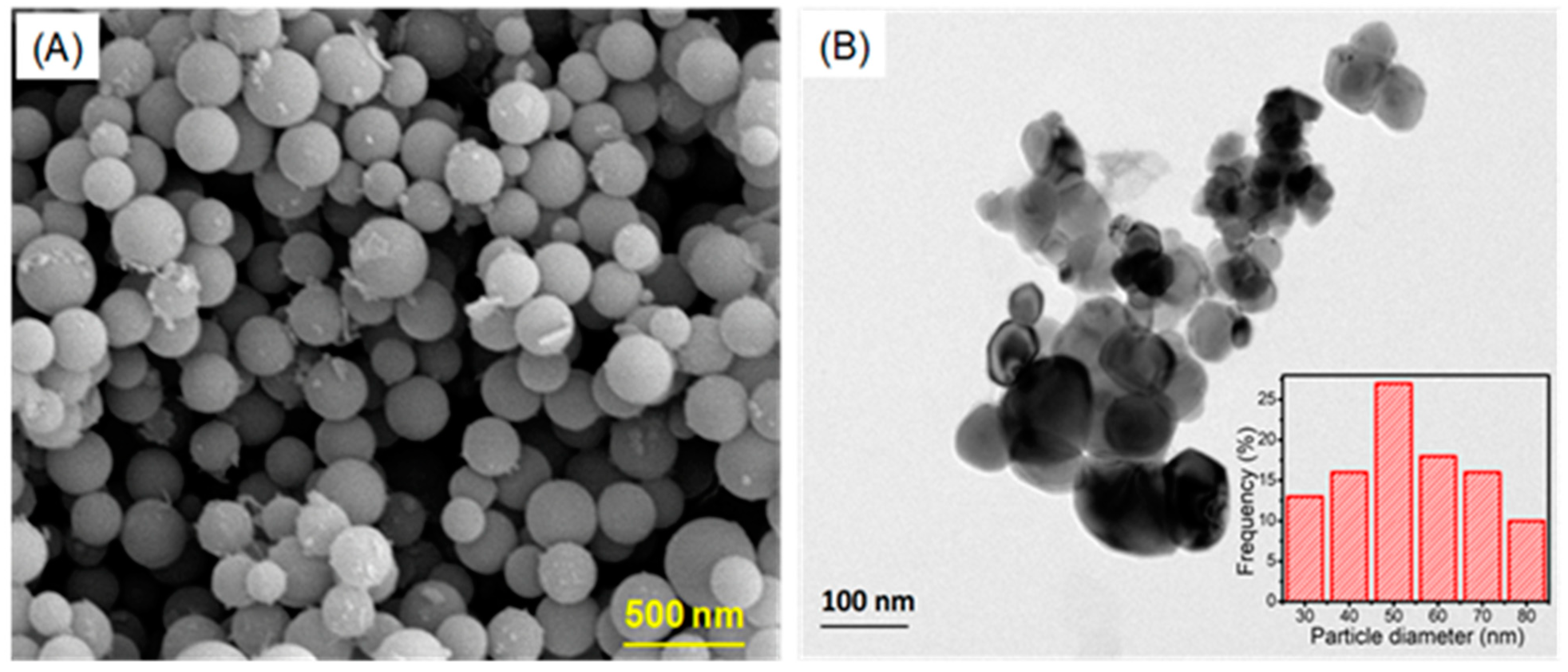 Plants 12 00707 g003 Plants 12 00707 g003