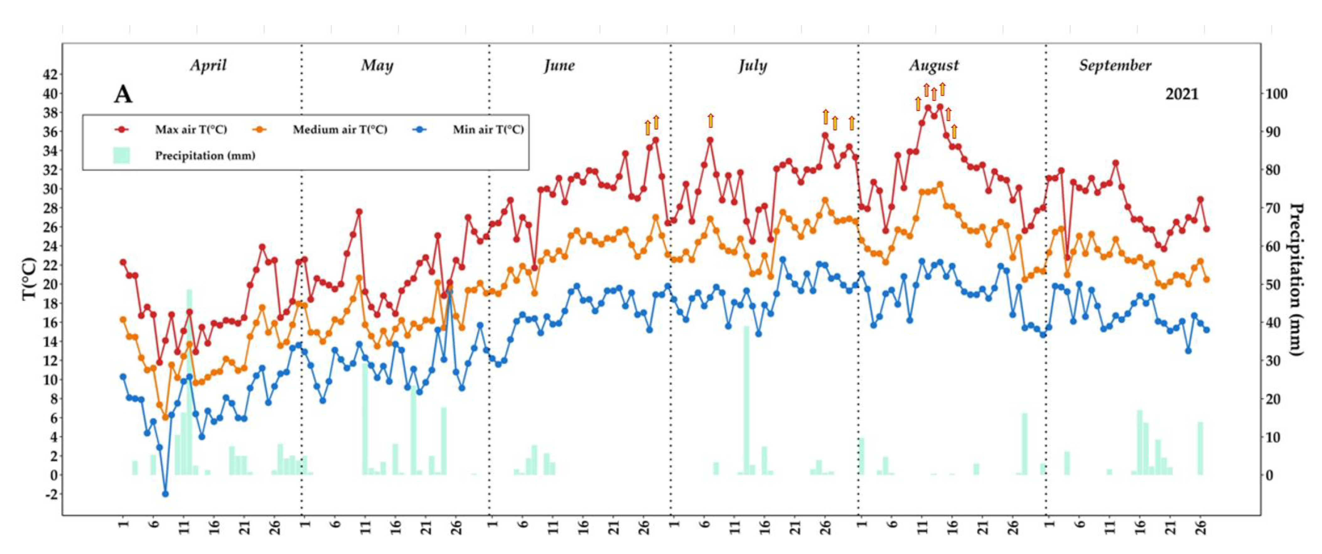 Plants 12 00708 g001a Plants 12 00708 g001a