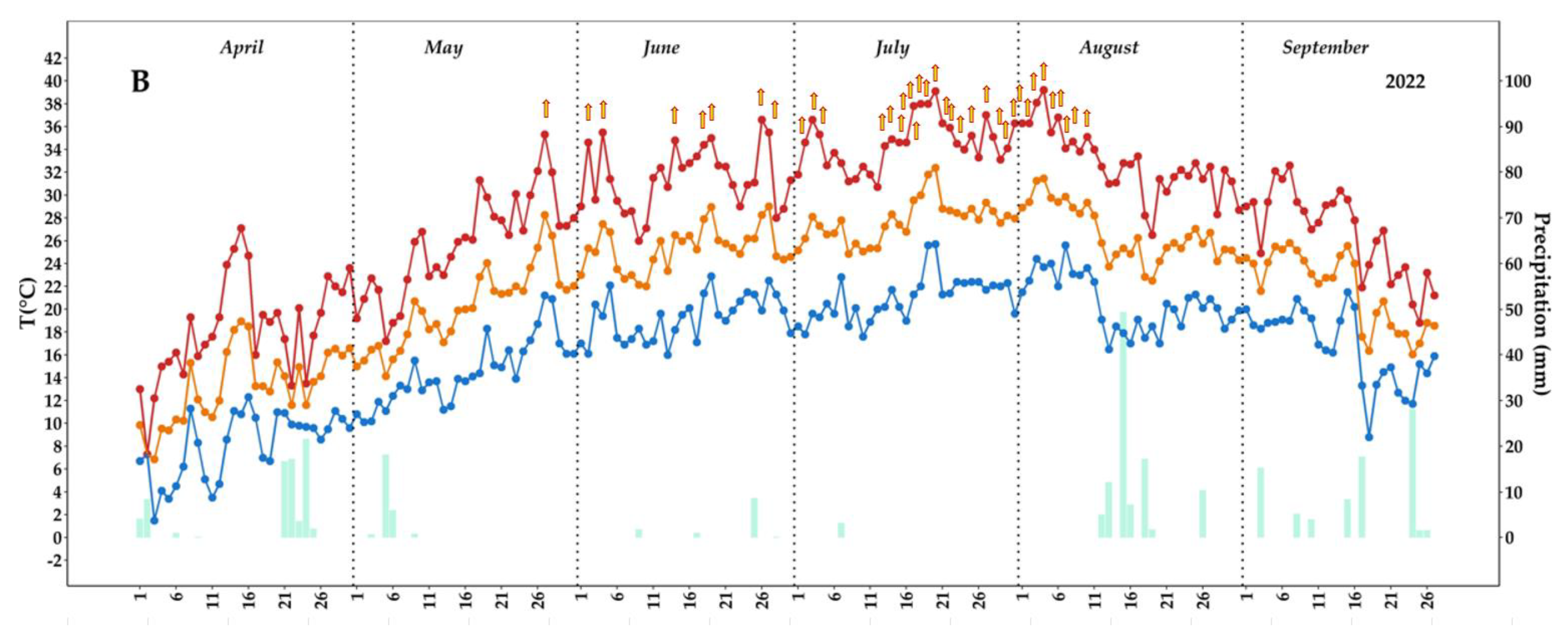 Plants 12 00708 g001b Plants 12 00708 g001b